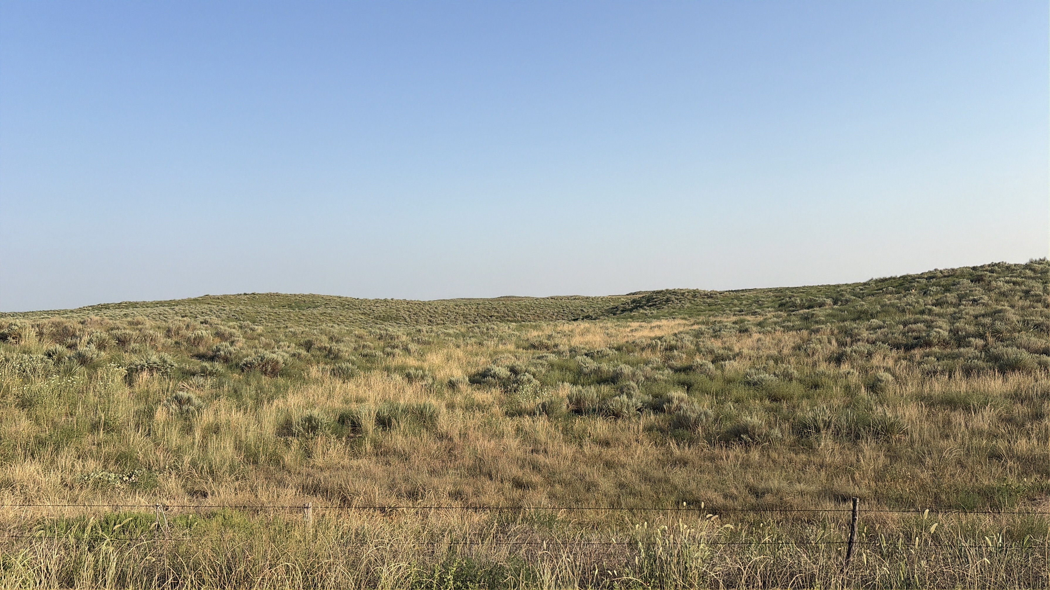 Oasis Pasture, Irrigated and Hunting Land property picture 1 of 1