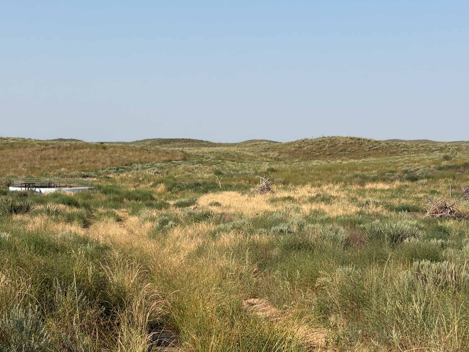 Oasis Irrigated, Pasture and Hunting Land property picture 8 of 39