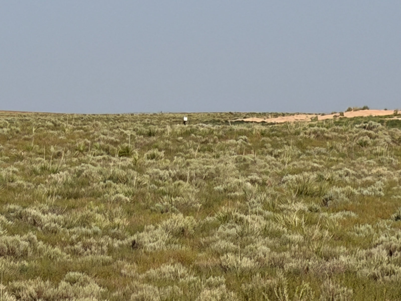 Oasis Irrigated, Pasture and Hunting Land property picture 21 of 39