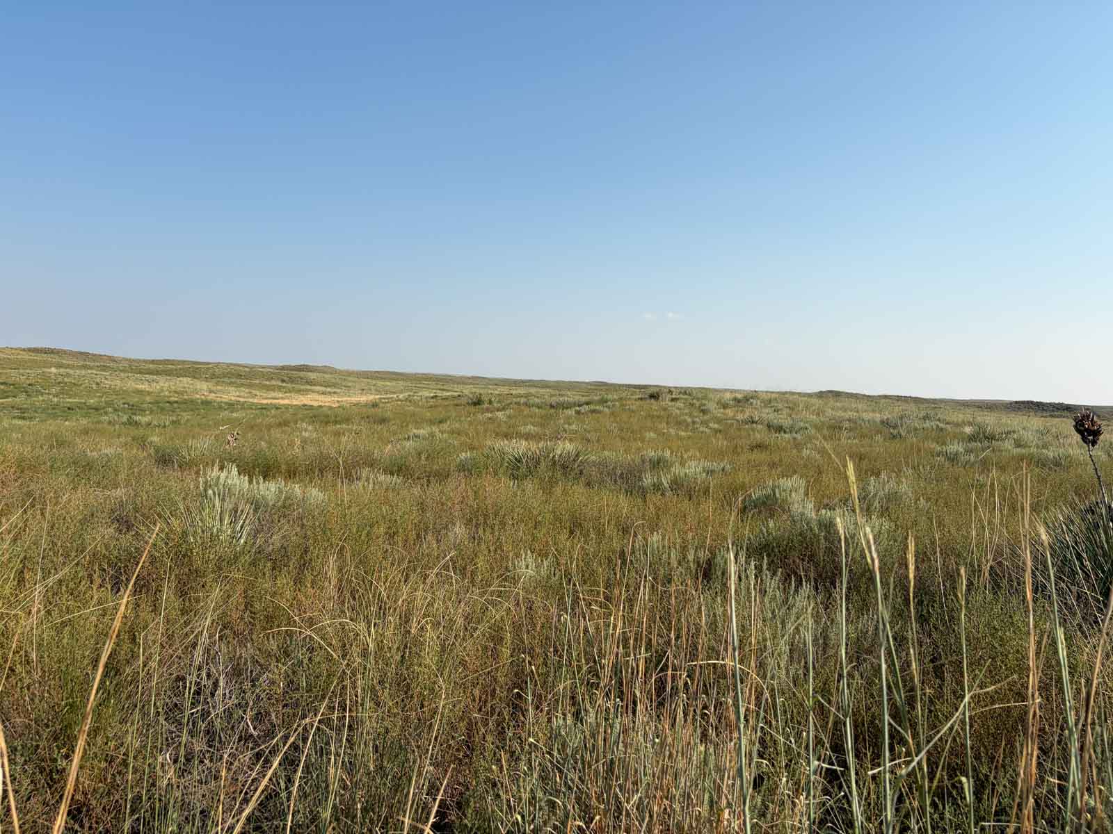 Oasis Irrigated, Pasture and Hunting Land property picture 13 of 39