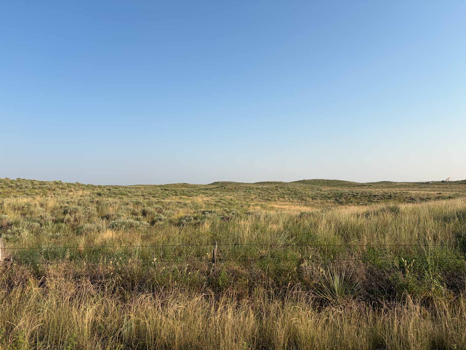 Oasis Irrigated, Pasture and Hunting Land property picture 34 of 39