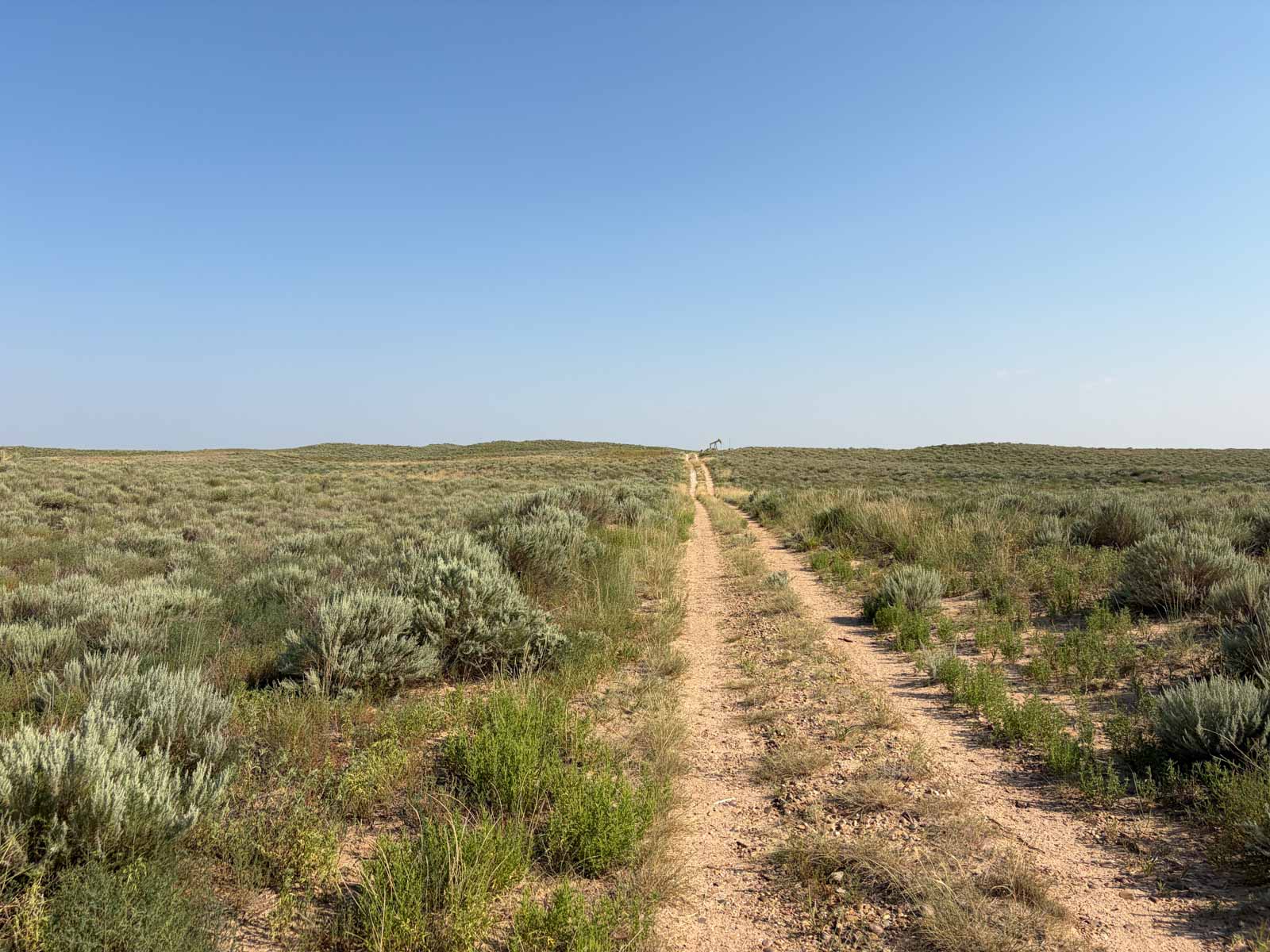 Oasis Irrigated, Pasture and Hunting Land property picture 3 of 39
