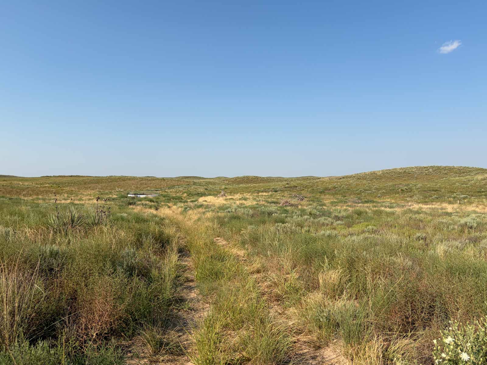 Oasis Irrigated, Pasture and Hunting Land property picture 6 of 39