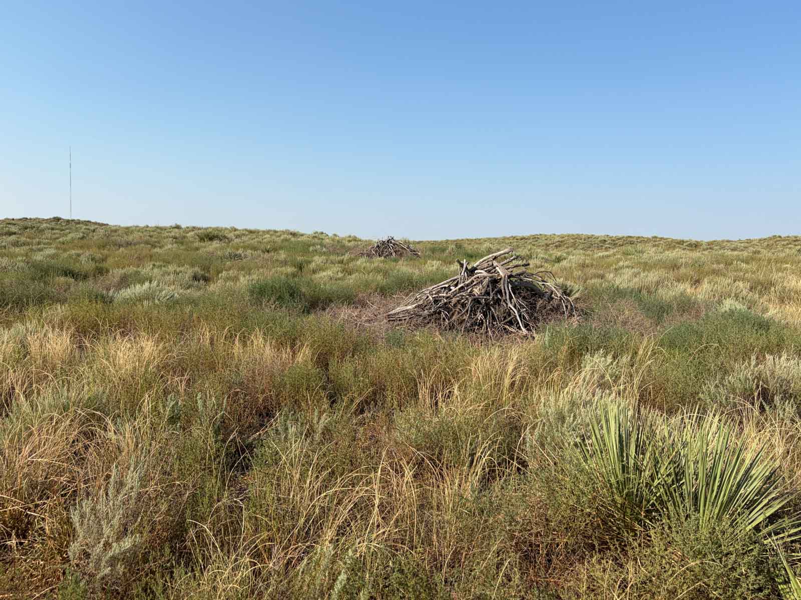 Oasis Irrigated, Pasture and Hunting Land property picture 18 of 39