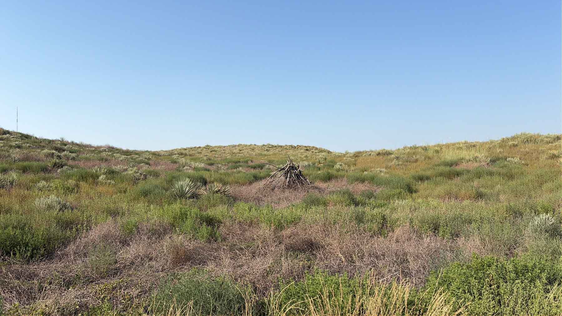 Oasis Irrigated, Pasture and Hunting Land property picture 16 of 39