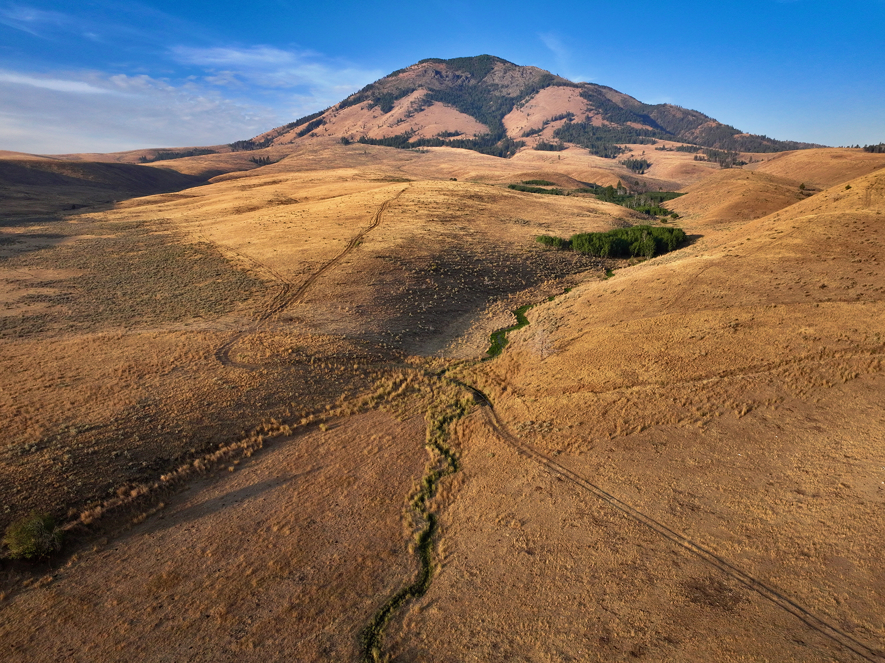 Ironside Mountain Ranch property picture 42 of 54