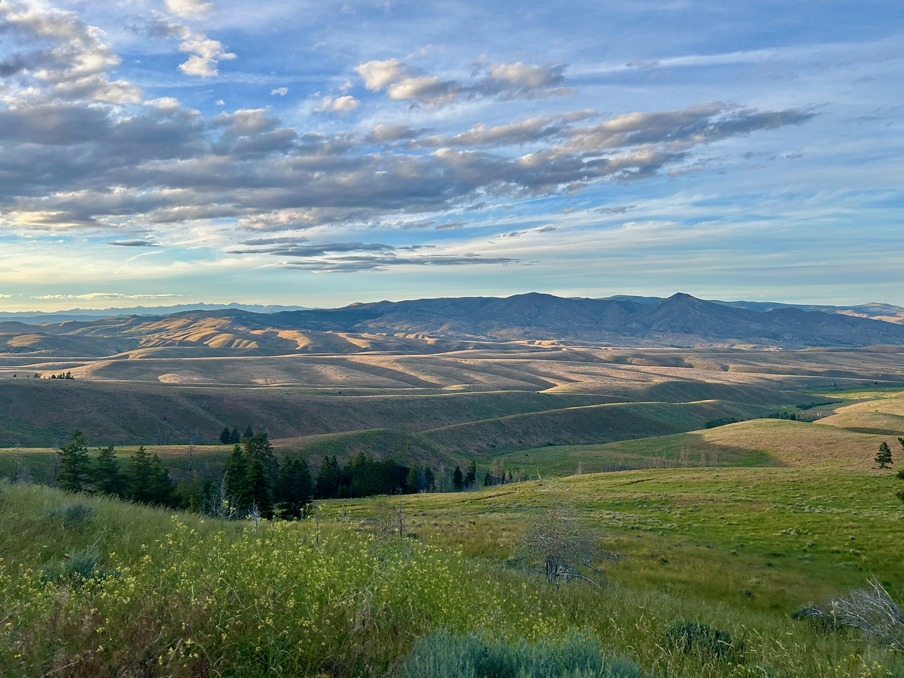Ironside Mountain Ranch property picture 51 of 54