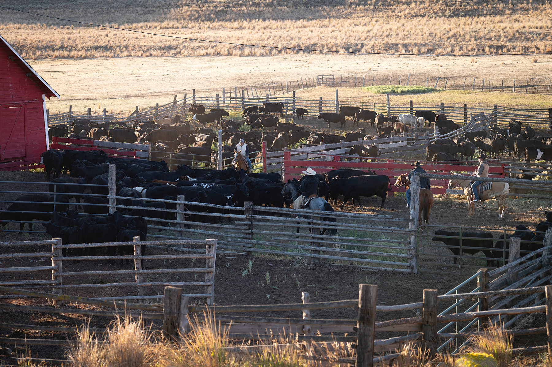 Ironside Mountain Ranch property picture 15 of 54