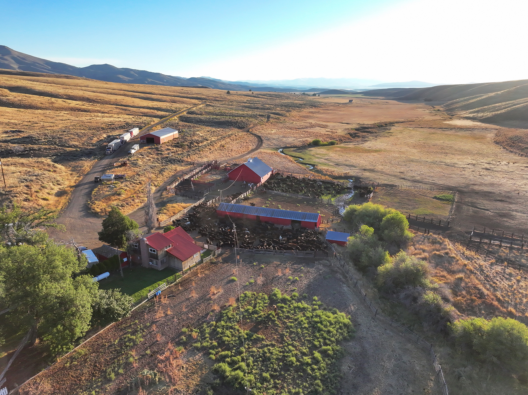 Ironside Mountain Ranch property picture 13 of 54