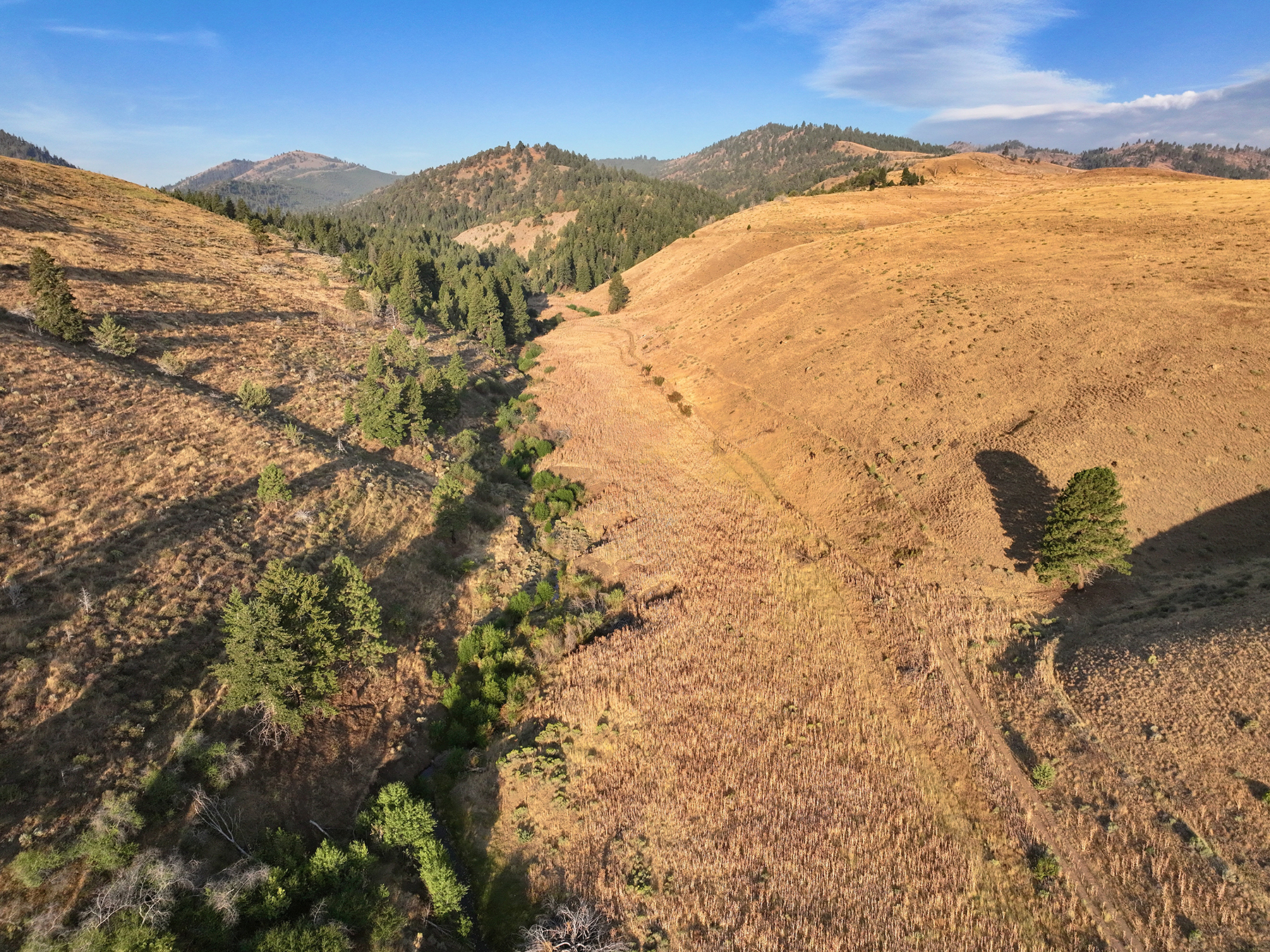 Ironside Mountain Ranch property picture 40 of 54