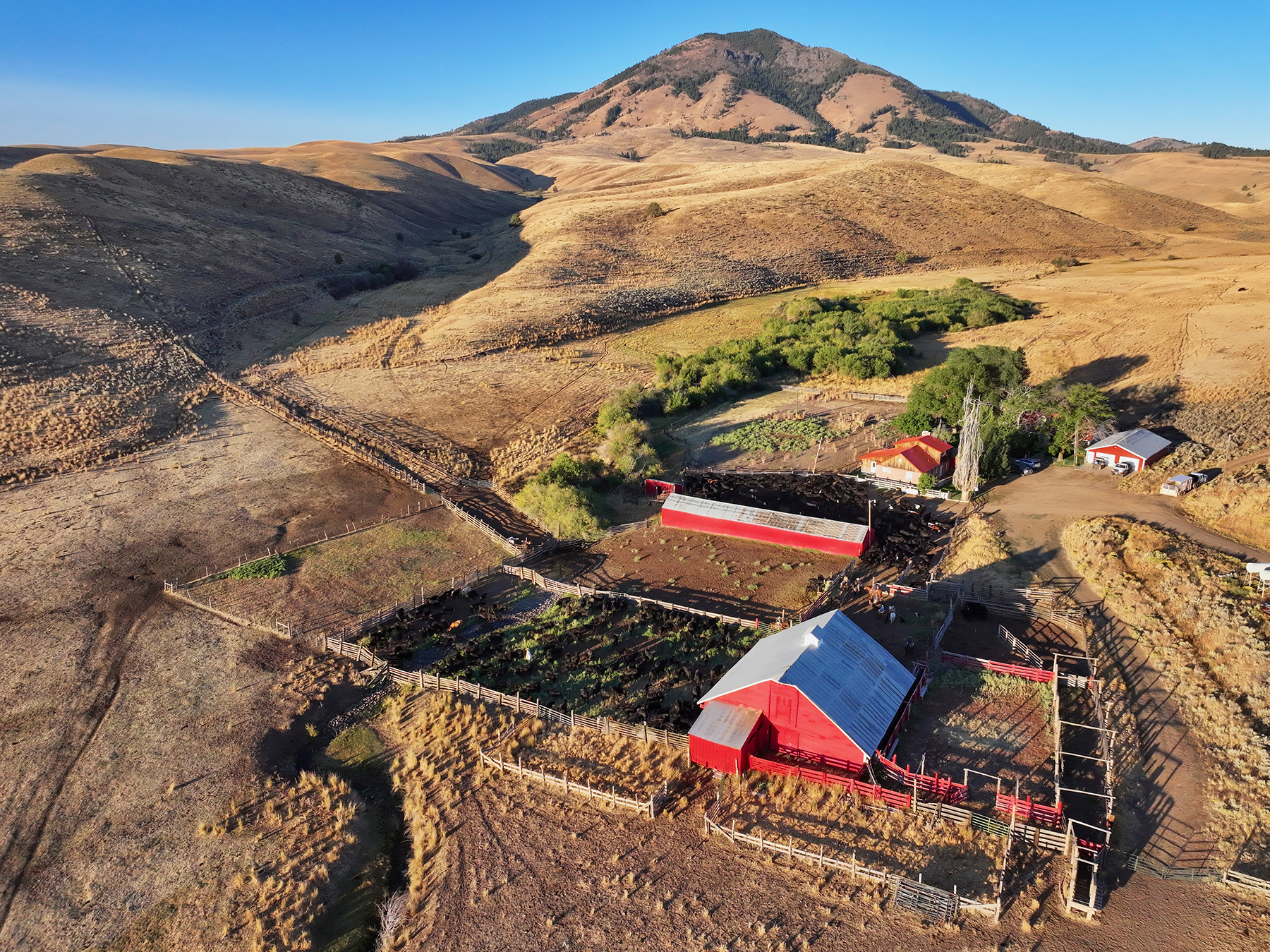 Ironside Mountain Ranch property picture 10 of 54