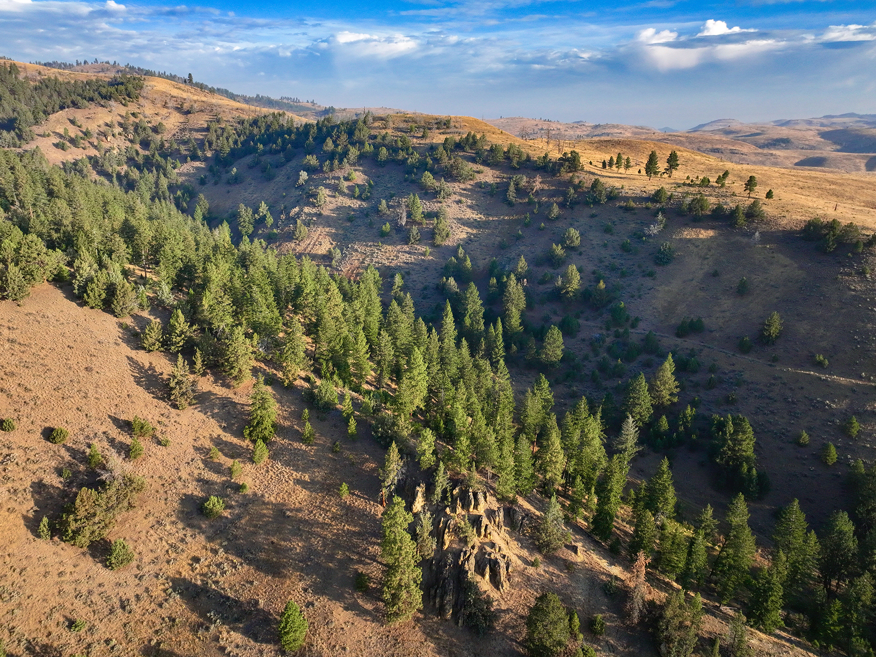 Ironside Mountain Ranch property picture 7 of 54