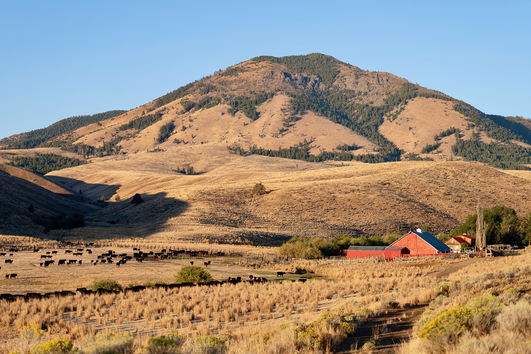 Ironside Mountain Ranch property picture 1 of 54