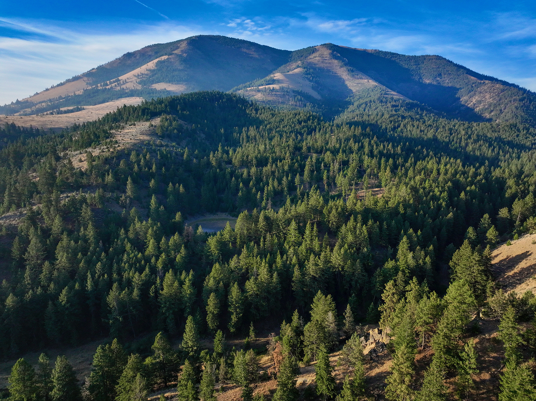 Ironside Mountain Ranch property picture 4 of 54