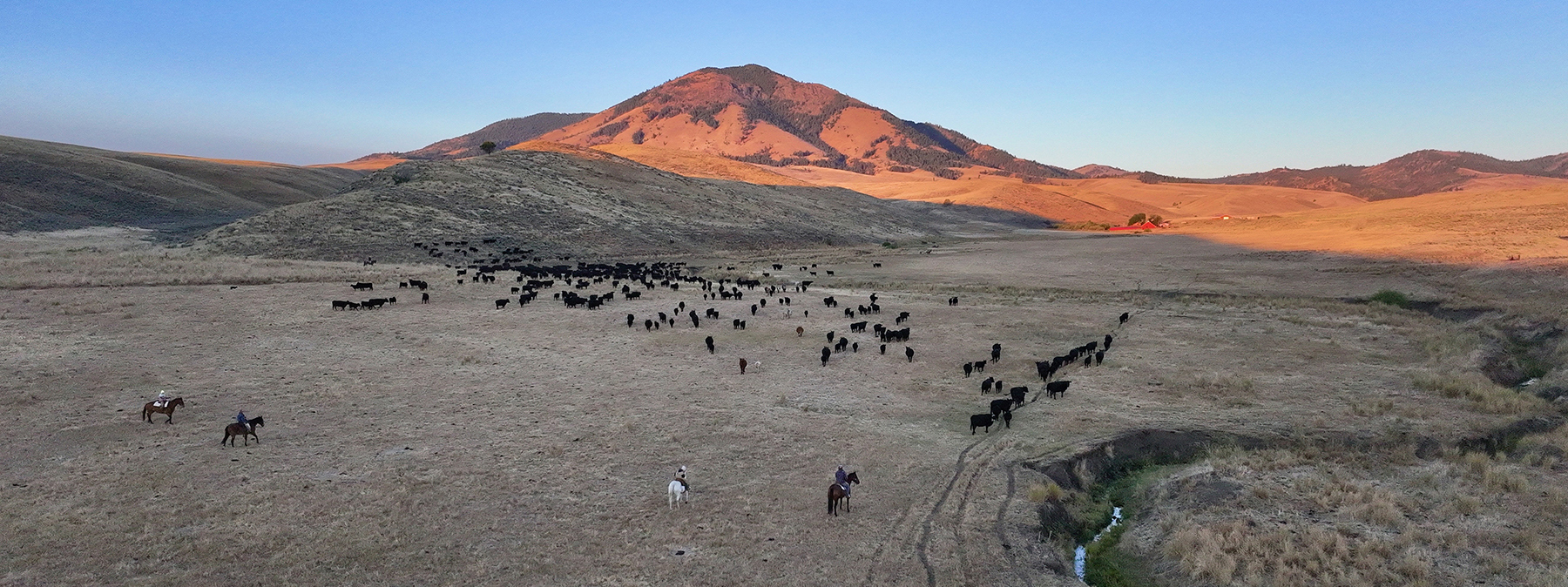 Ironside Mountain Ranch property picture 2 of 54