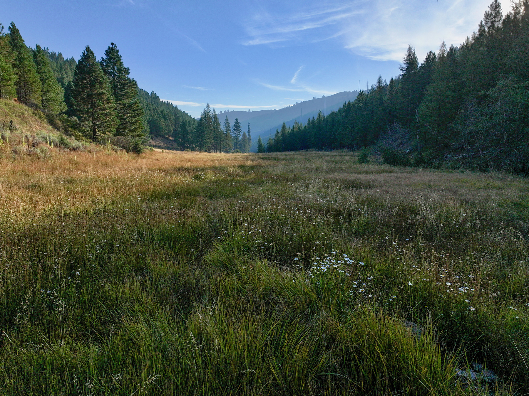 Ironside Mountain Ranch property picture 9 of 54