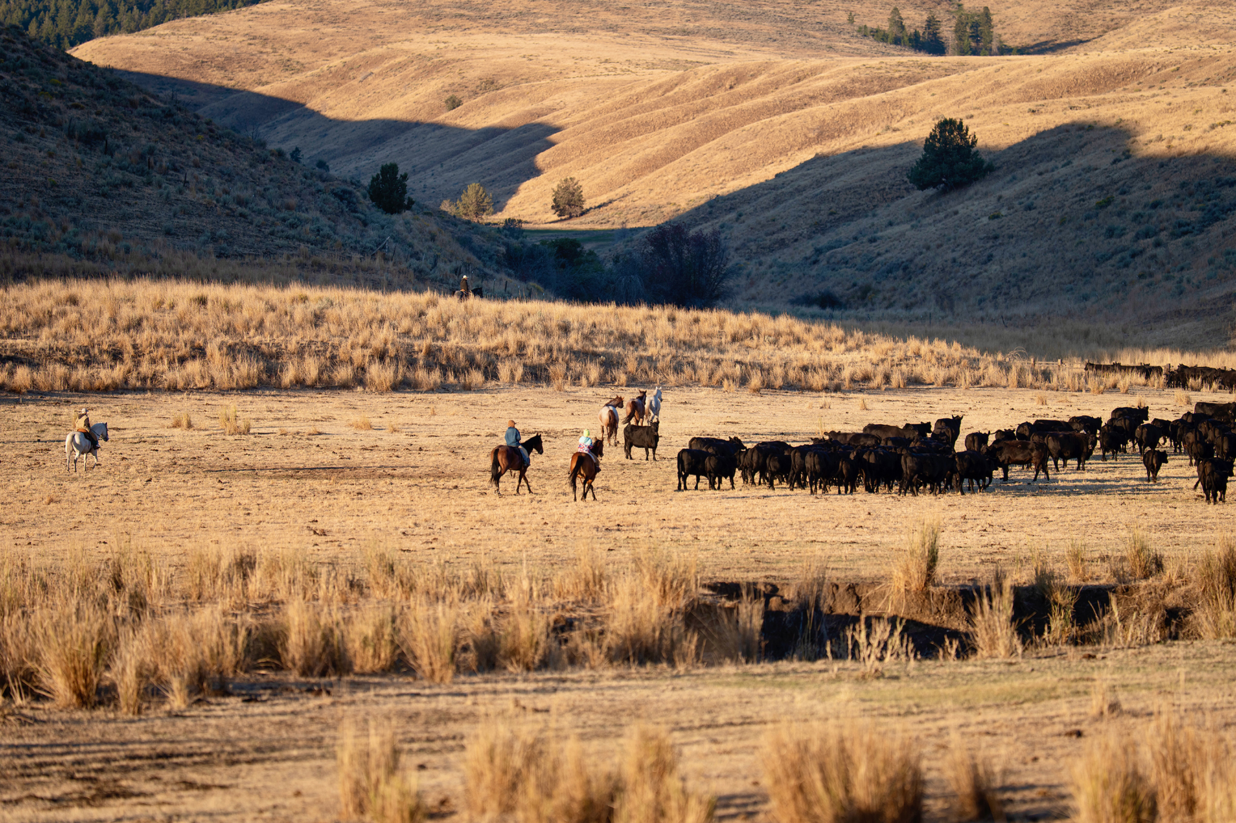 Ironside Mountain Ranch property picture 11 of 54