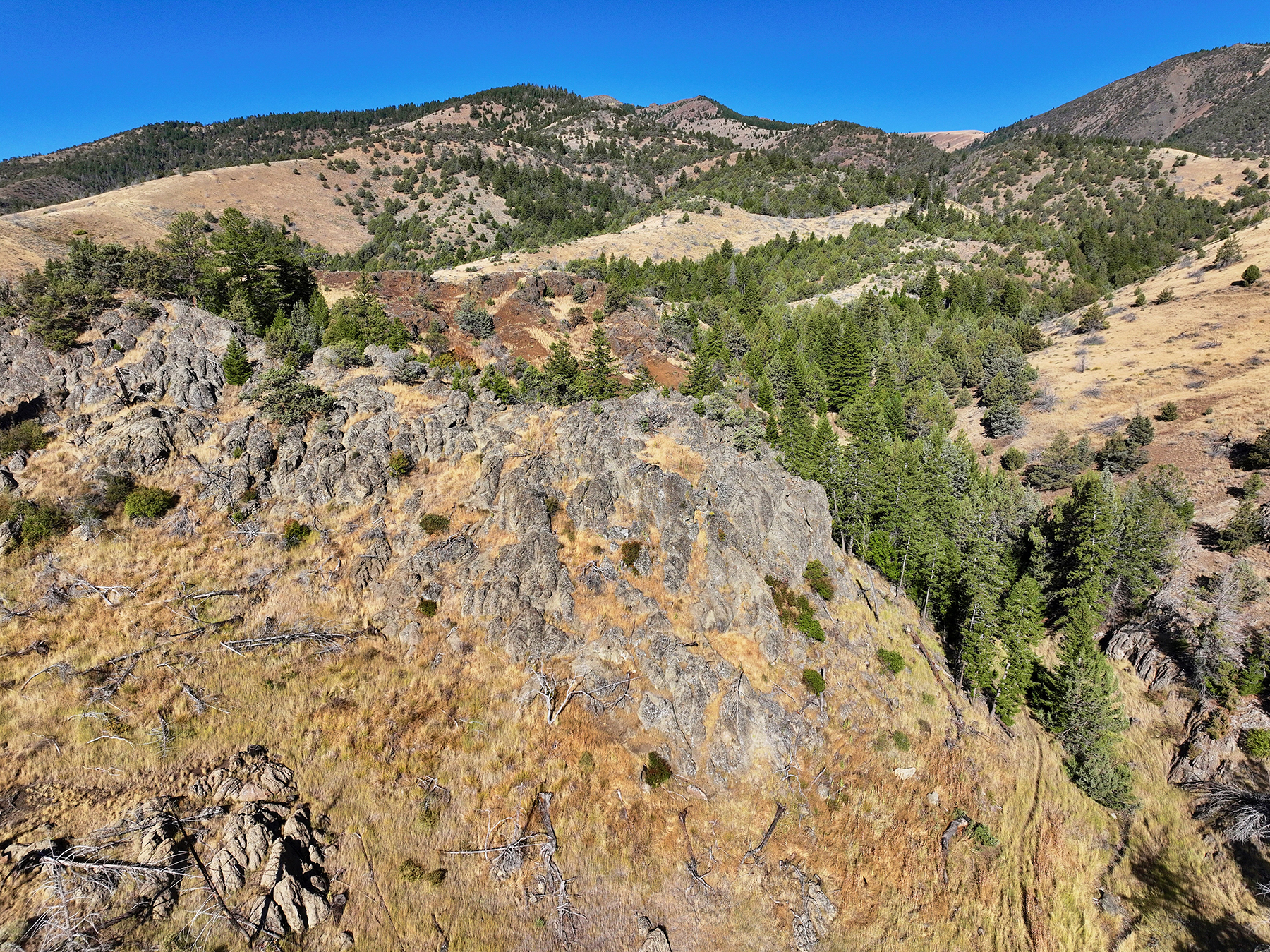 Ironside Mountain Ranch property picture 24 of 54