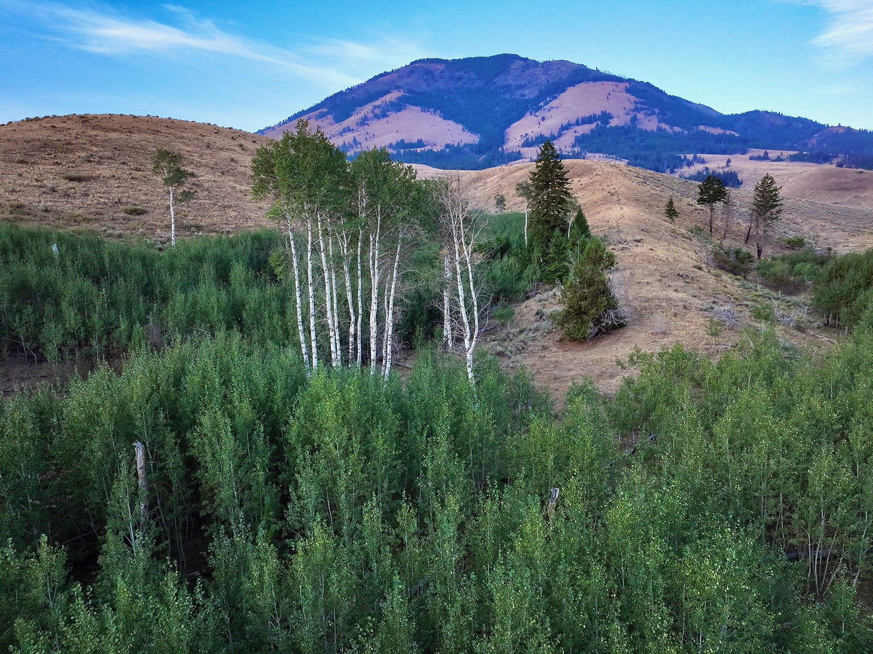 Ironside Mountain Ranch property picture 45 of 54