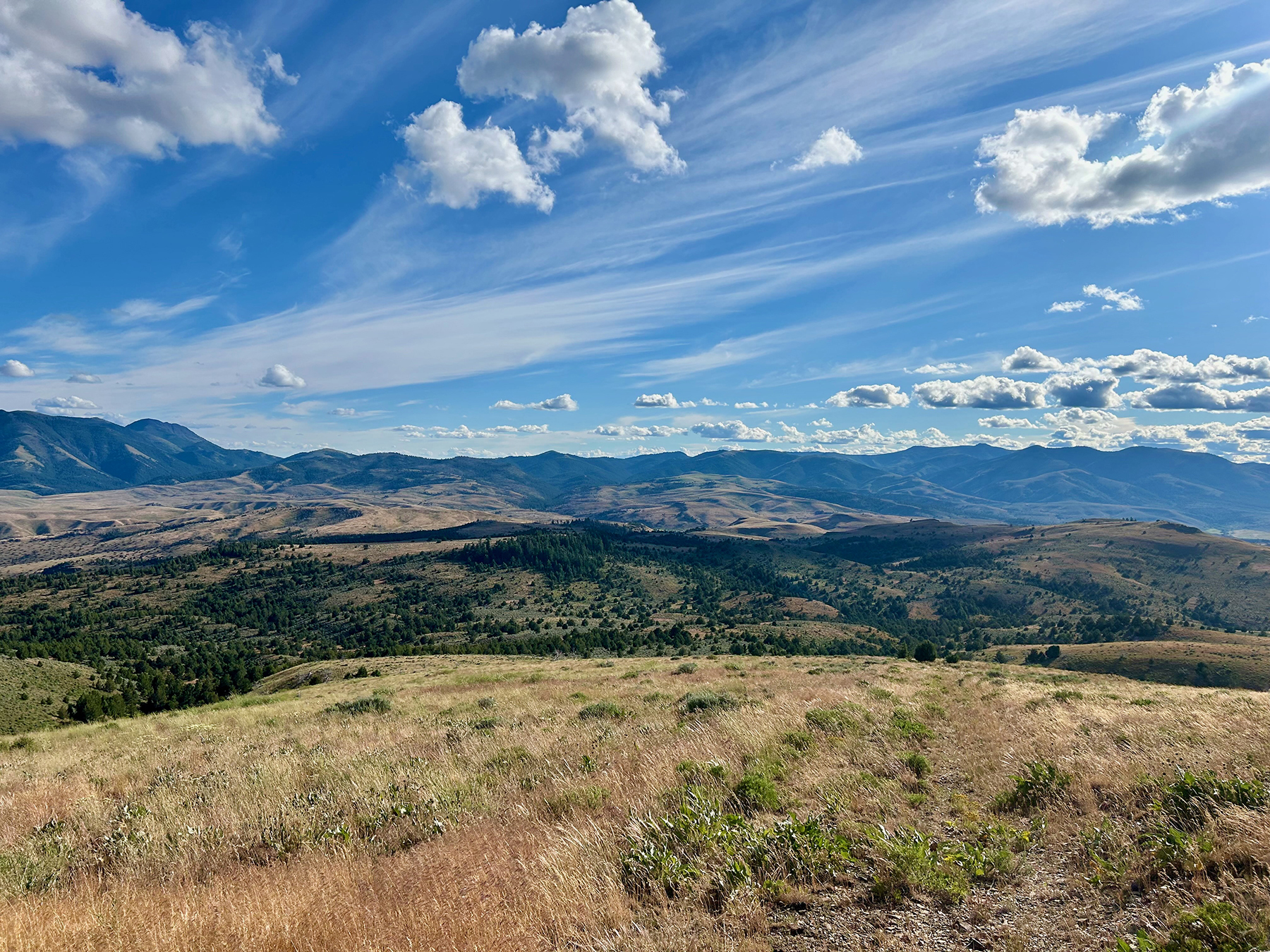Ironside Mountain Ranch property picture 48 of 54