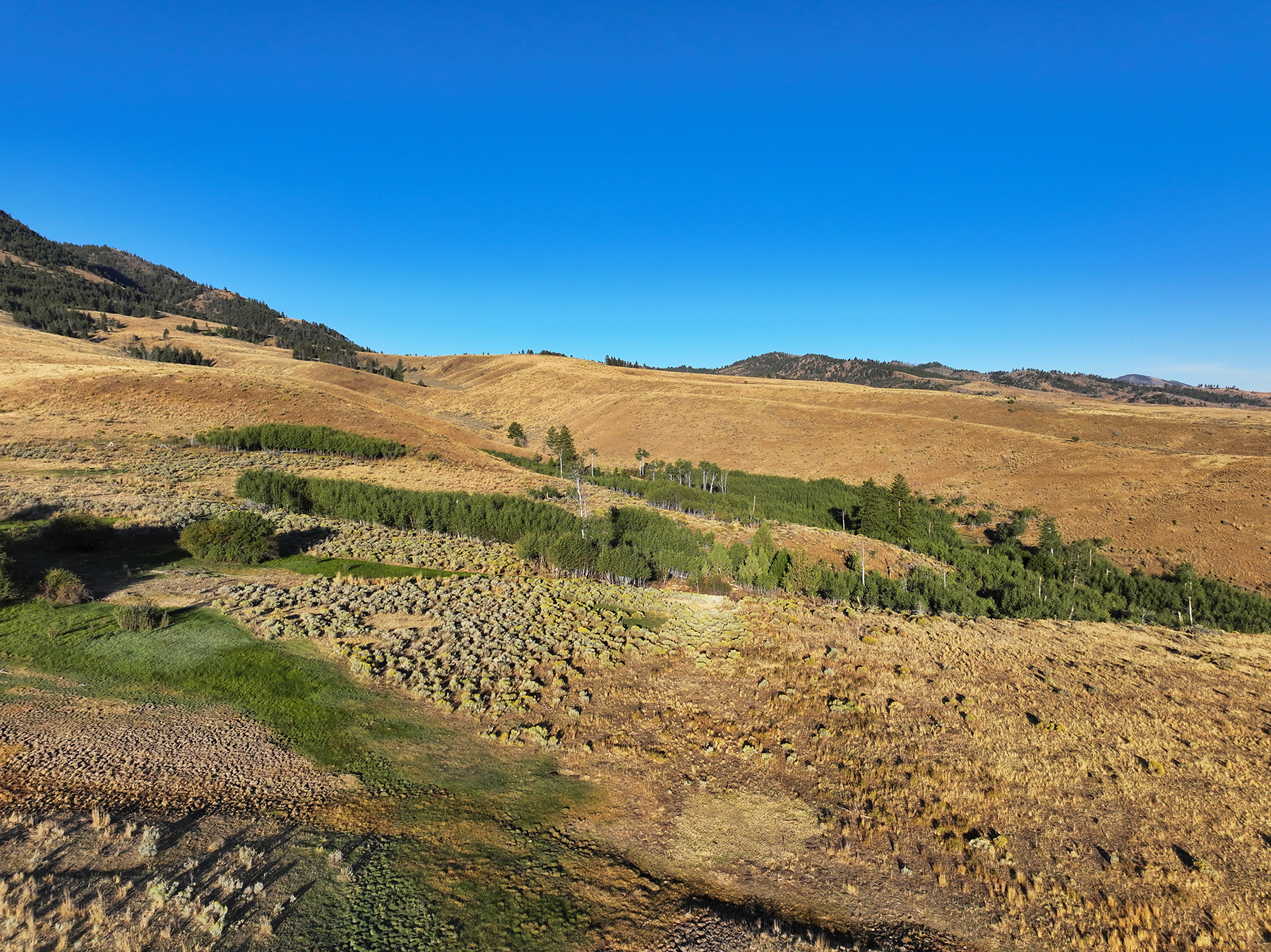 Ironside Mountain Ranch property picture 27 of 54