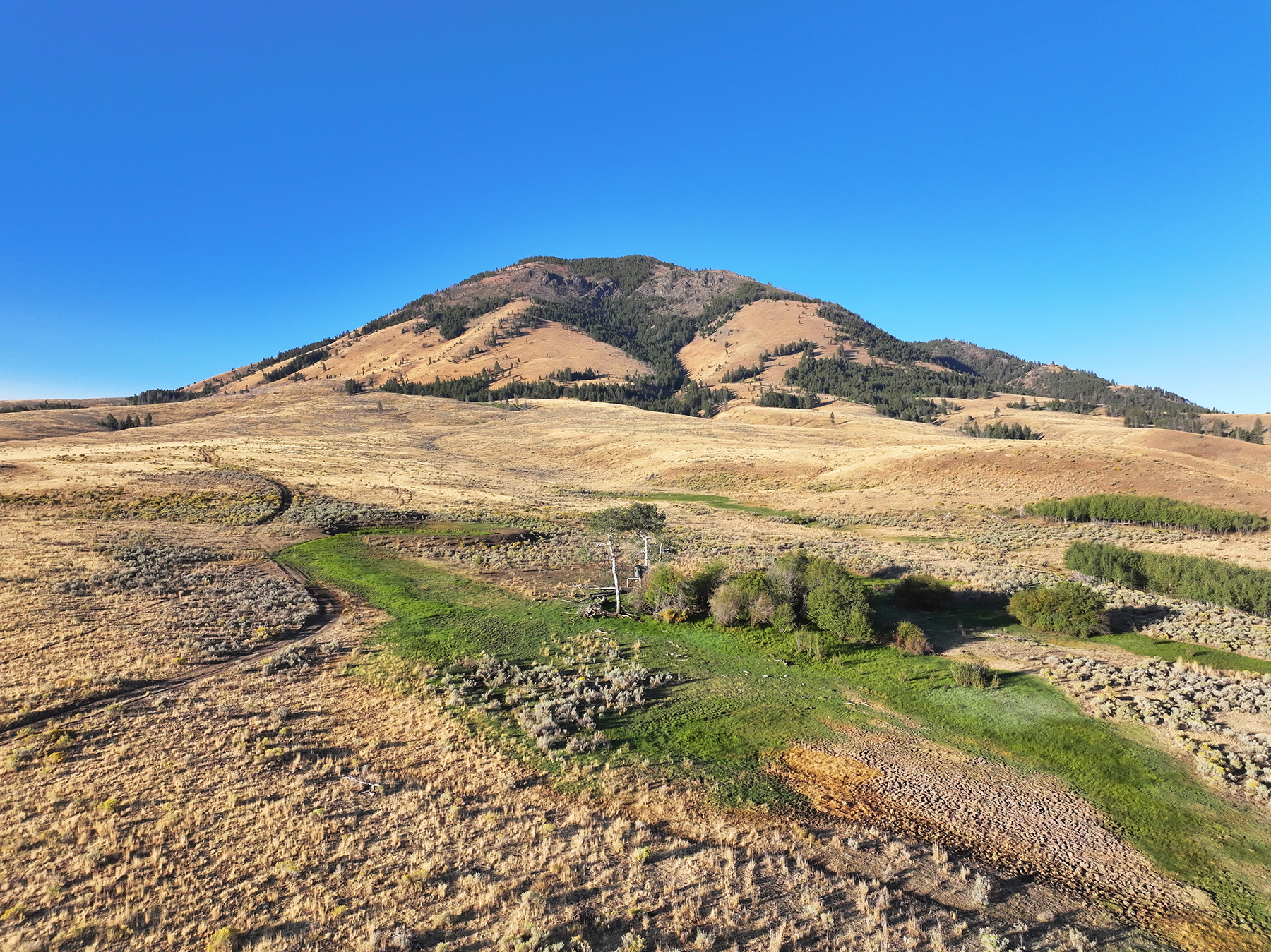 Ironside Mountain Ranch property picture 28 of 54