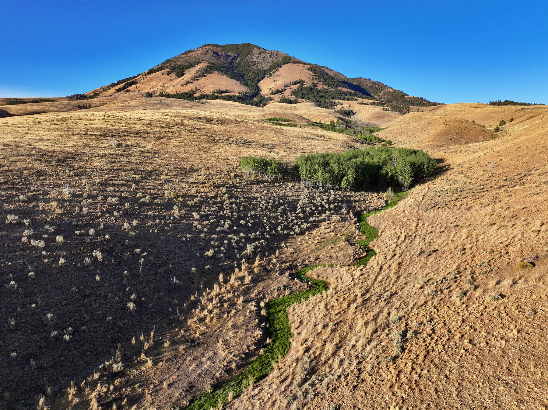 Ironside Mountain Ranch property picture 26 of 54