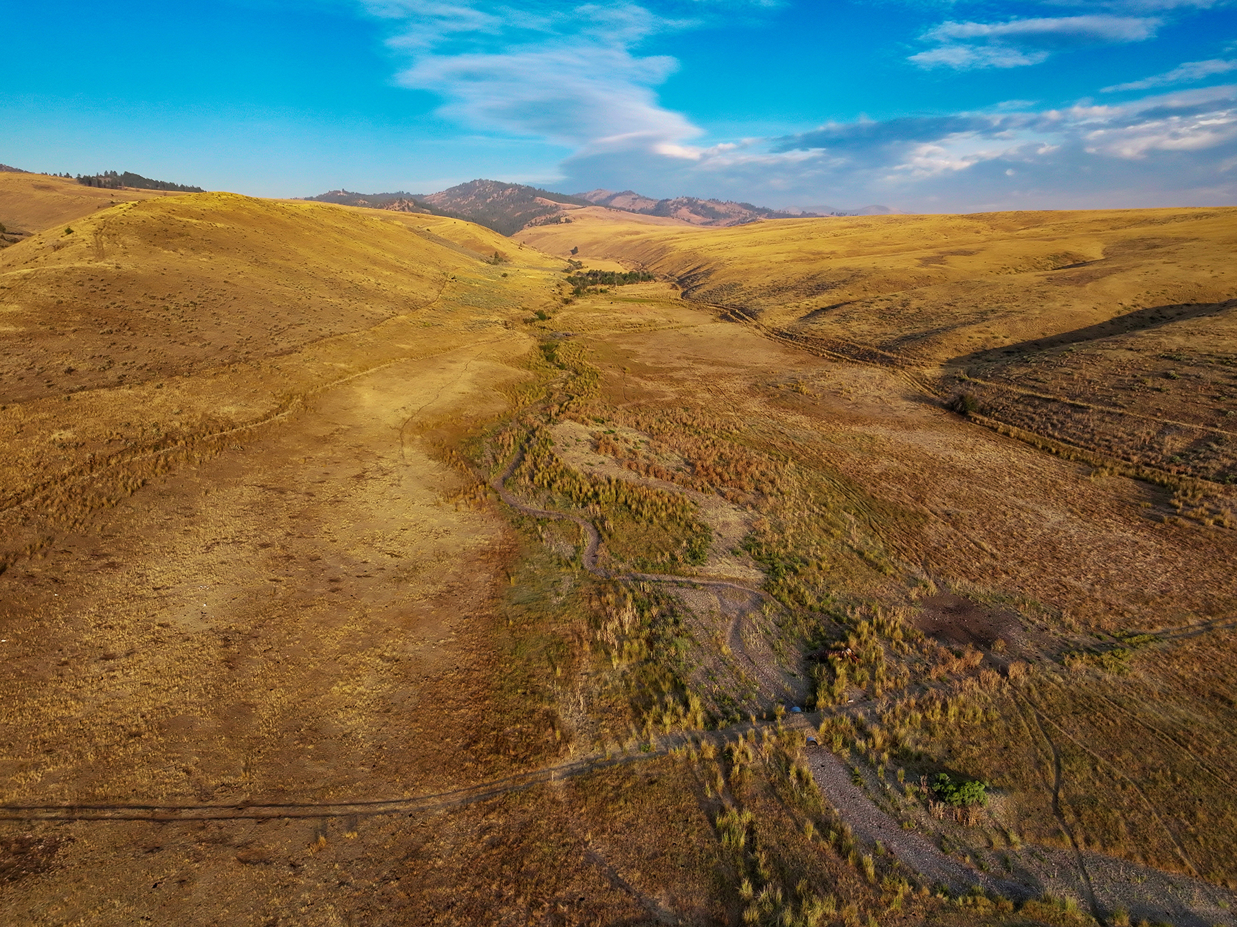 Ironside Mountain Ranch property picture 43 of 54