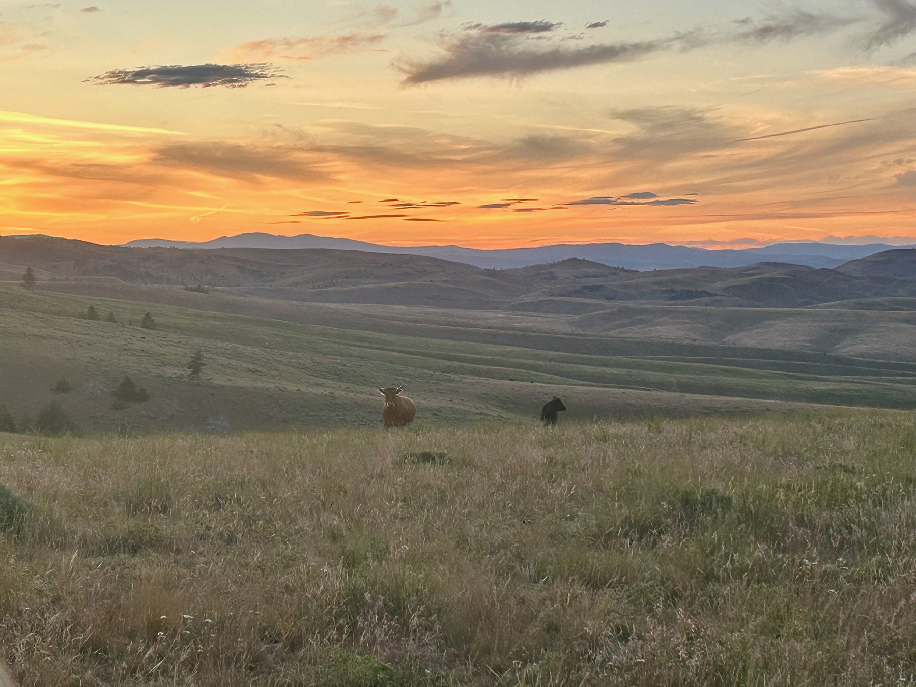 Ironside Mountain Ranch property picture 53 of 54
