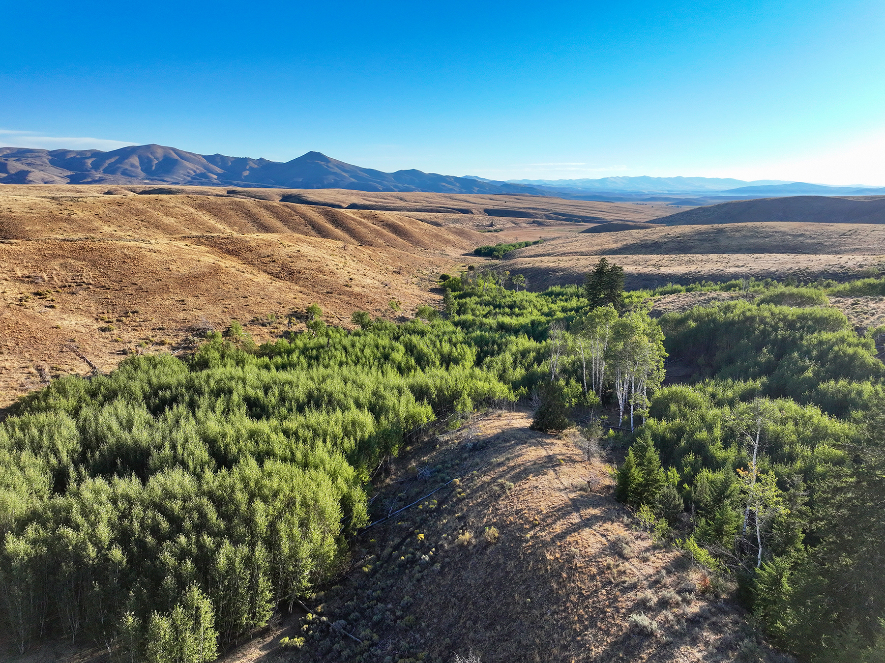 Ironside Mountain Ranch property picture 6 of 54