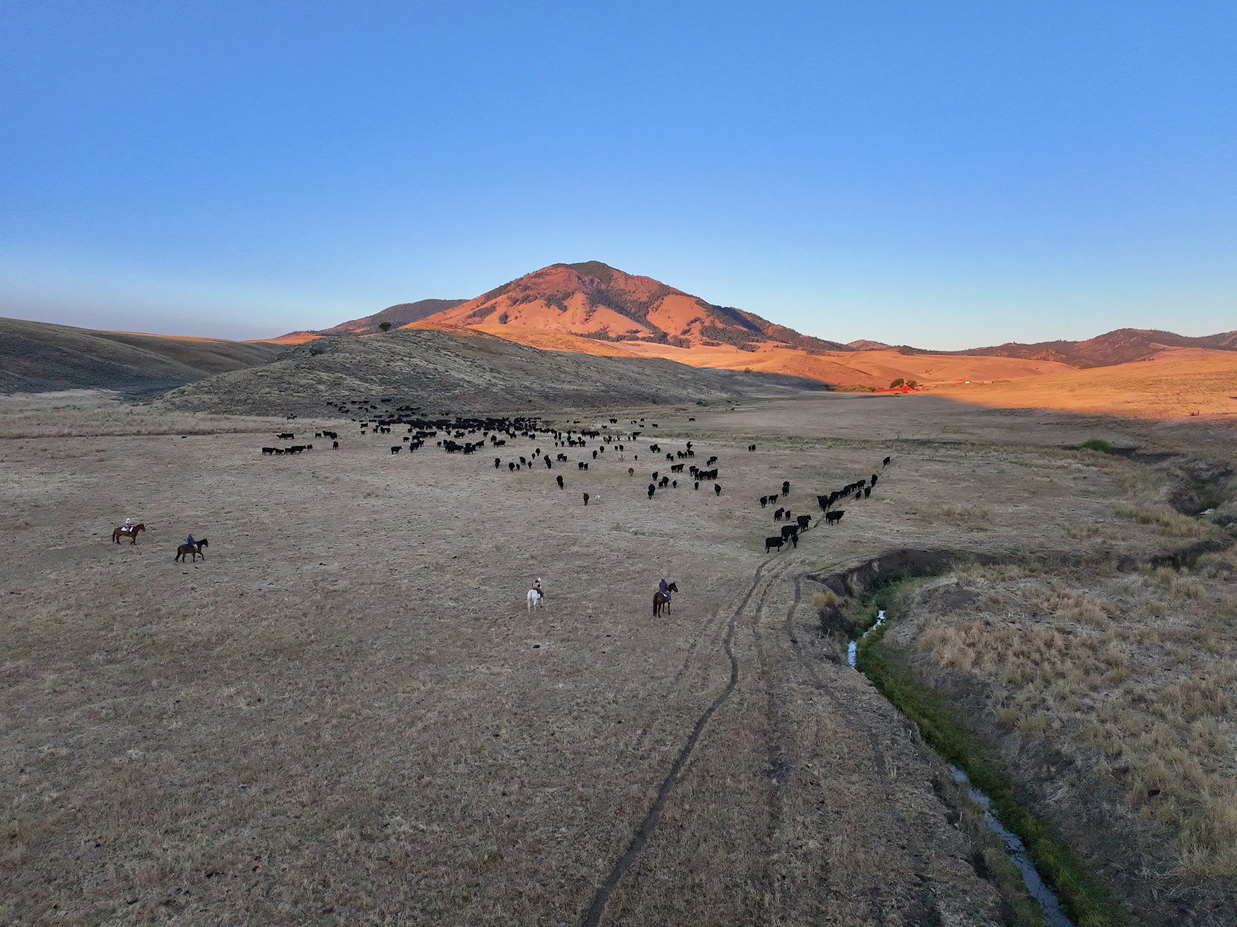 Ironside Mountain Ranch property picture 18 of 54