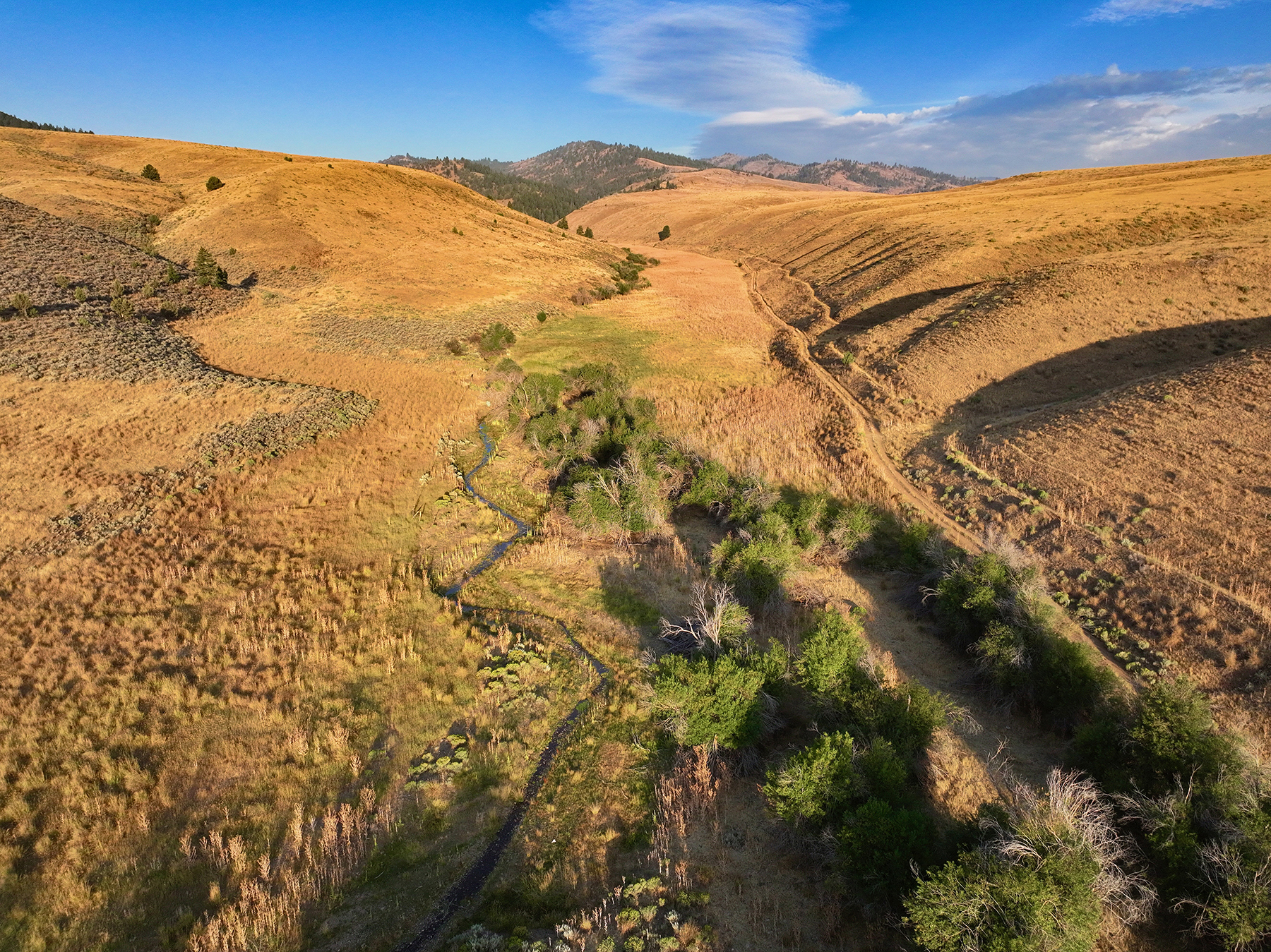 Ironside Mountain Ranch property picture 41 of 54