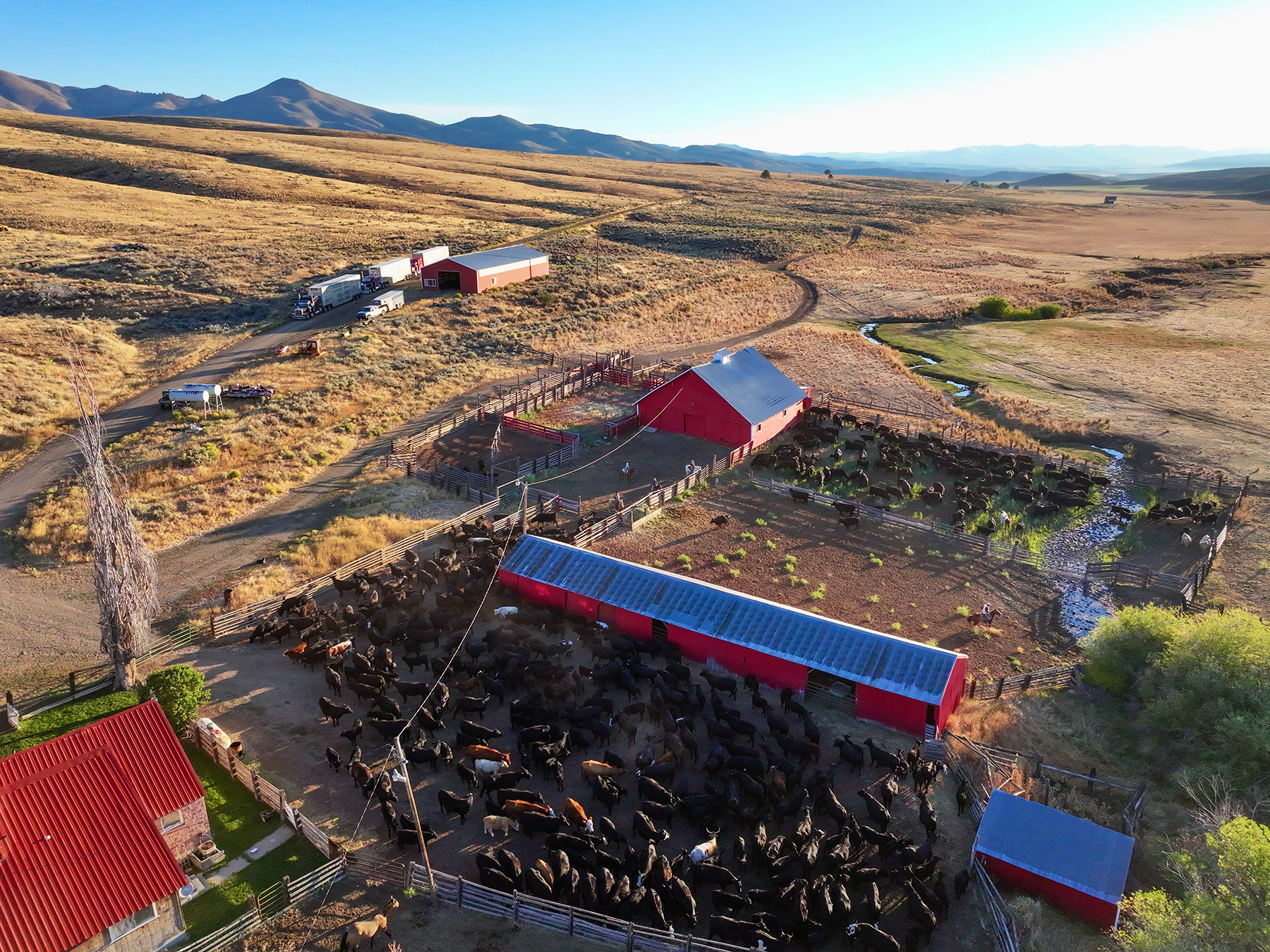 Ironside Mountain Ranch property picture 14 of 54