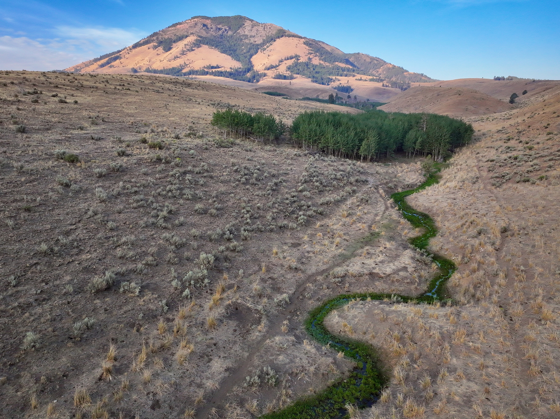 Ironside Mountain Ranch property picture 44 of 54