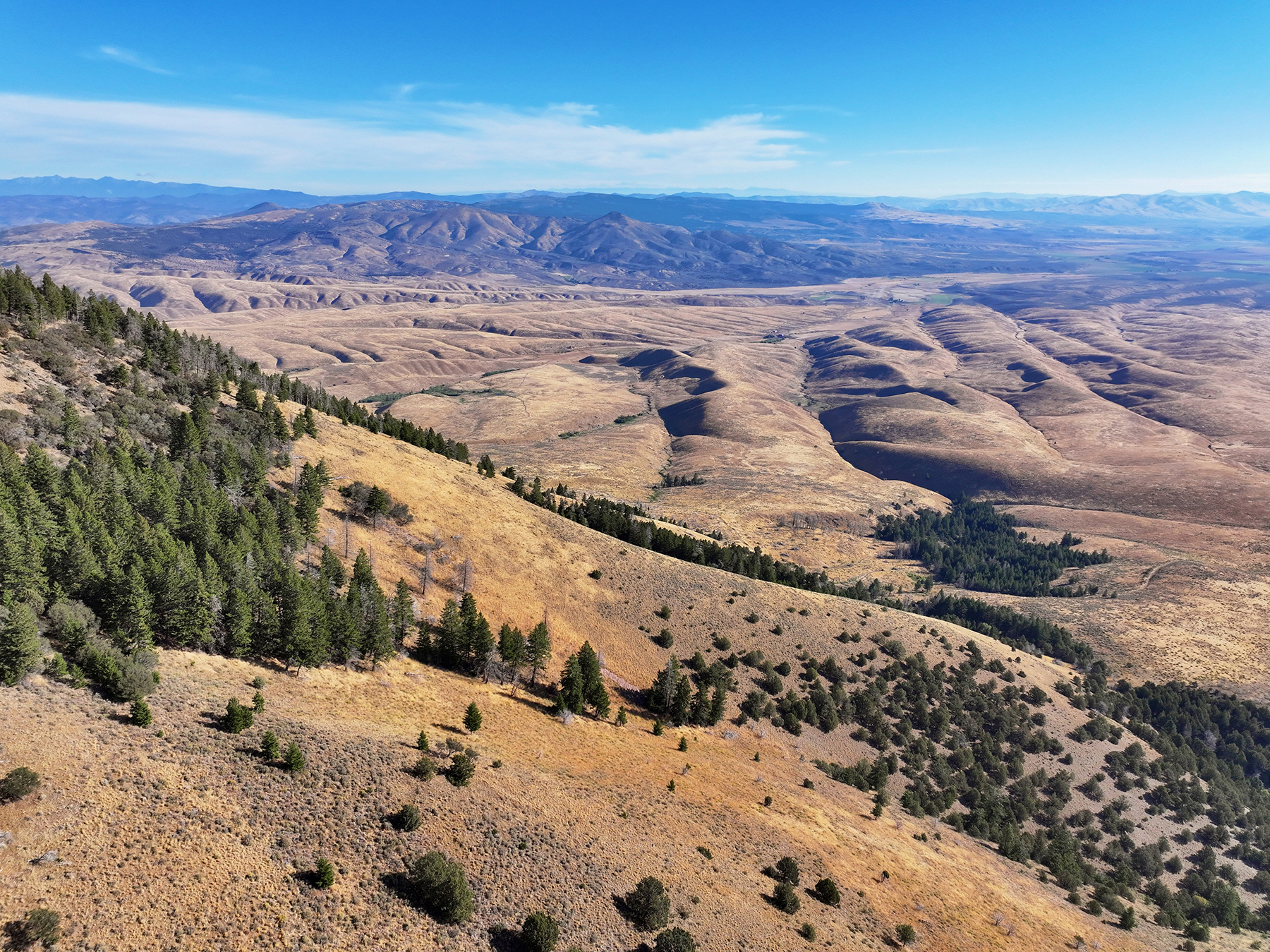 Ironside Mountain Ranch property picture 3 of 54