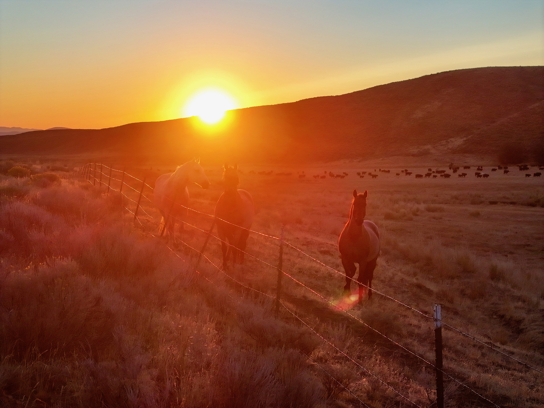 Ironside Mountain Ranch property picture 19 of 54
