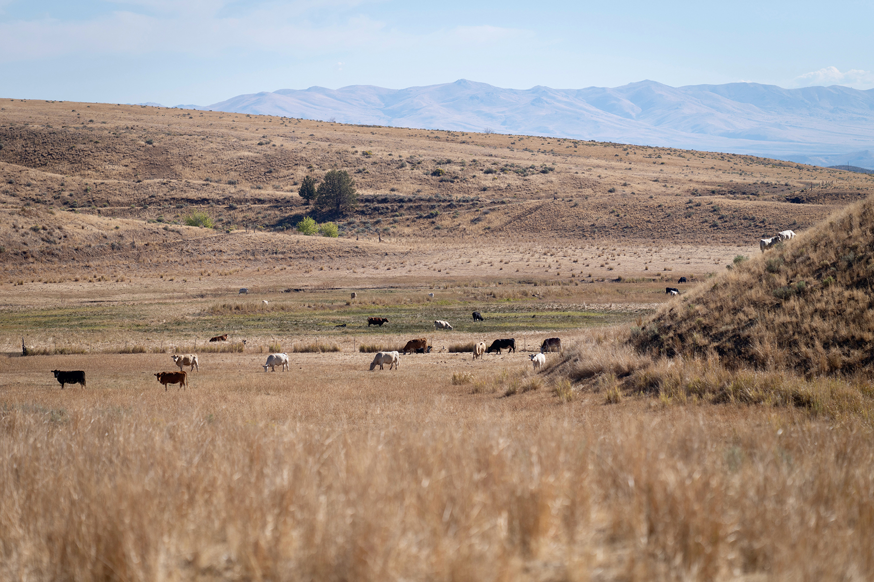 Ironside Mountain Ranch property picture 17 of 54