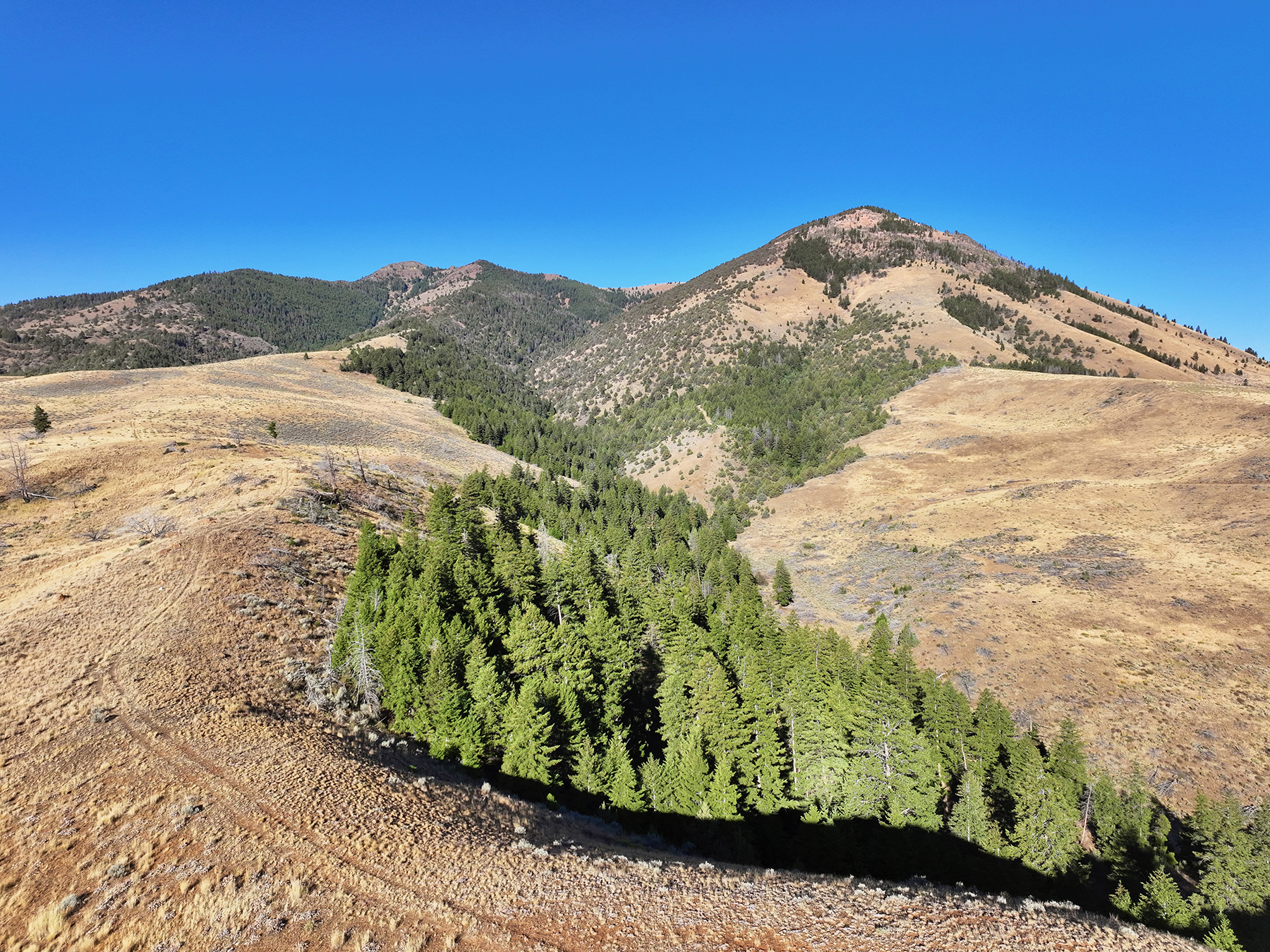 Ironside Mountain Ranch property picture 25 of 54
