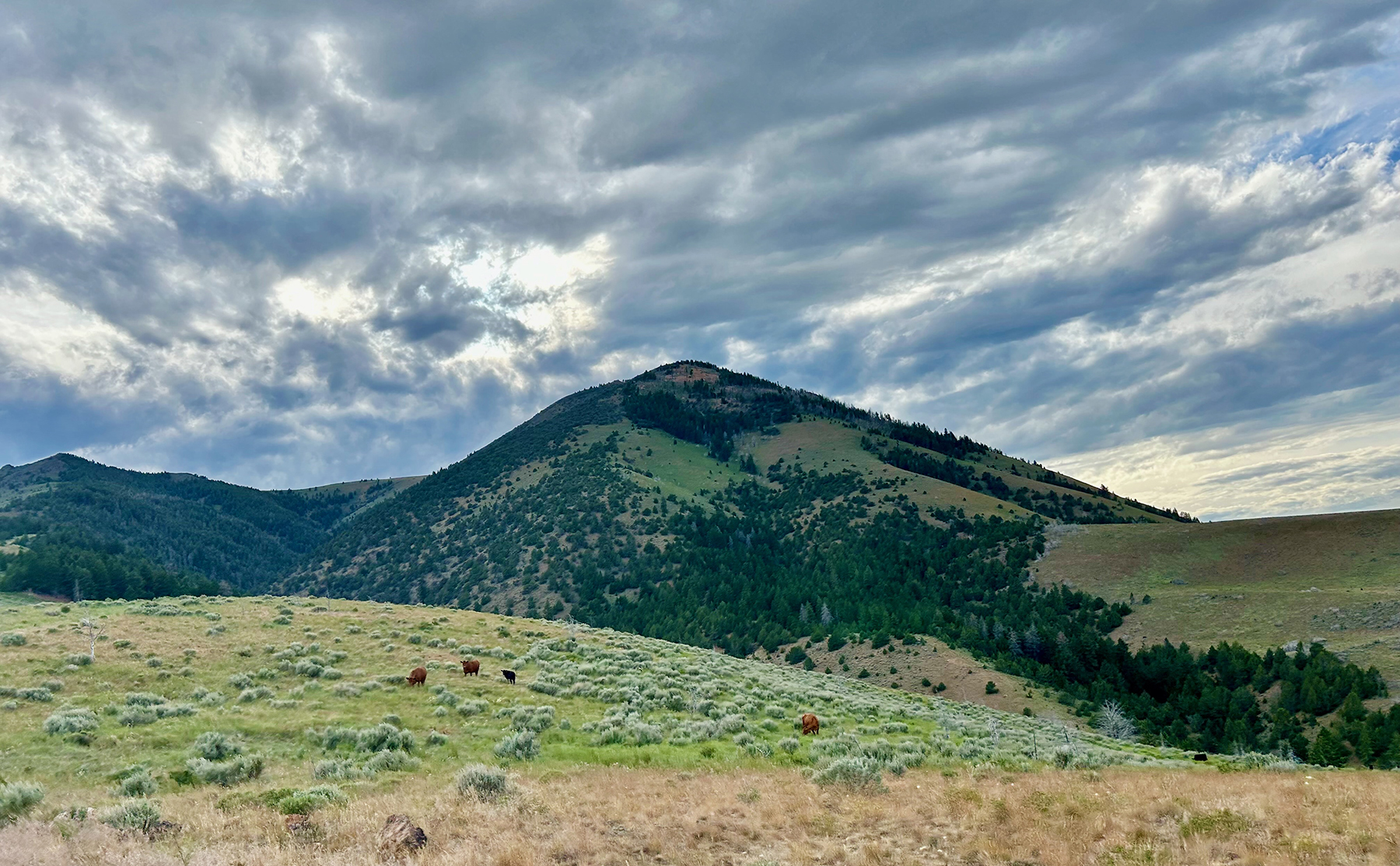Ironside Mountain Ranch property picture 50 of 54