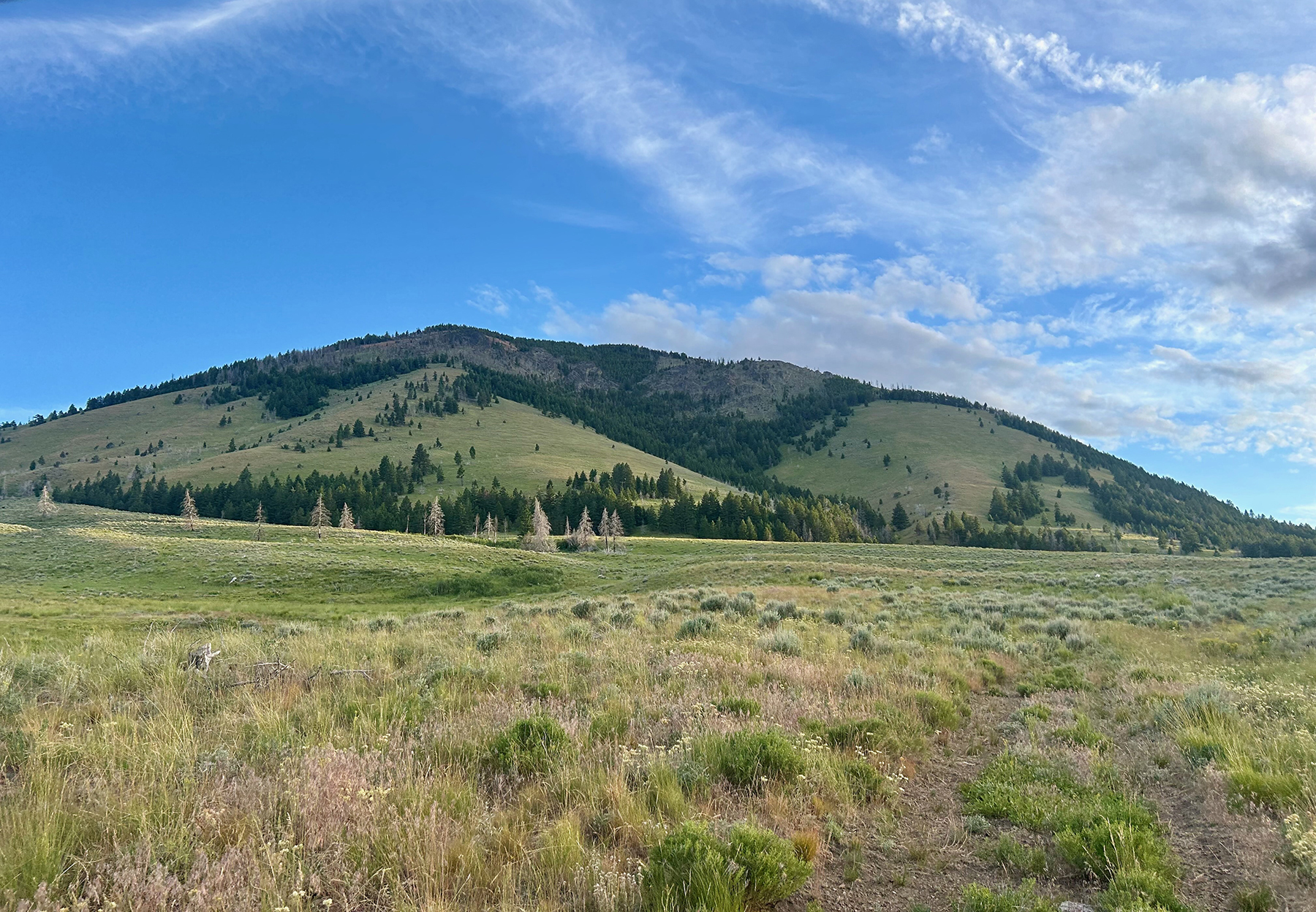 Ironside Mountain Ranch property picture 52 of 54