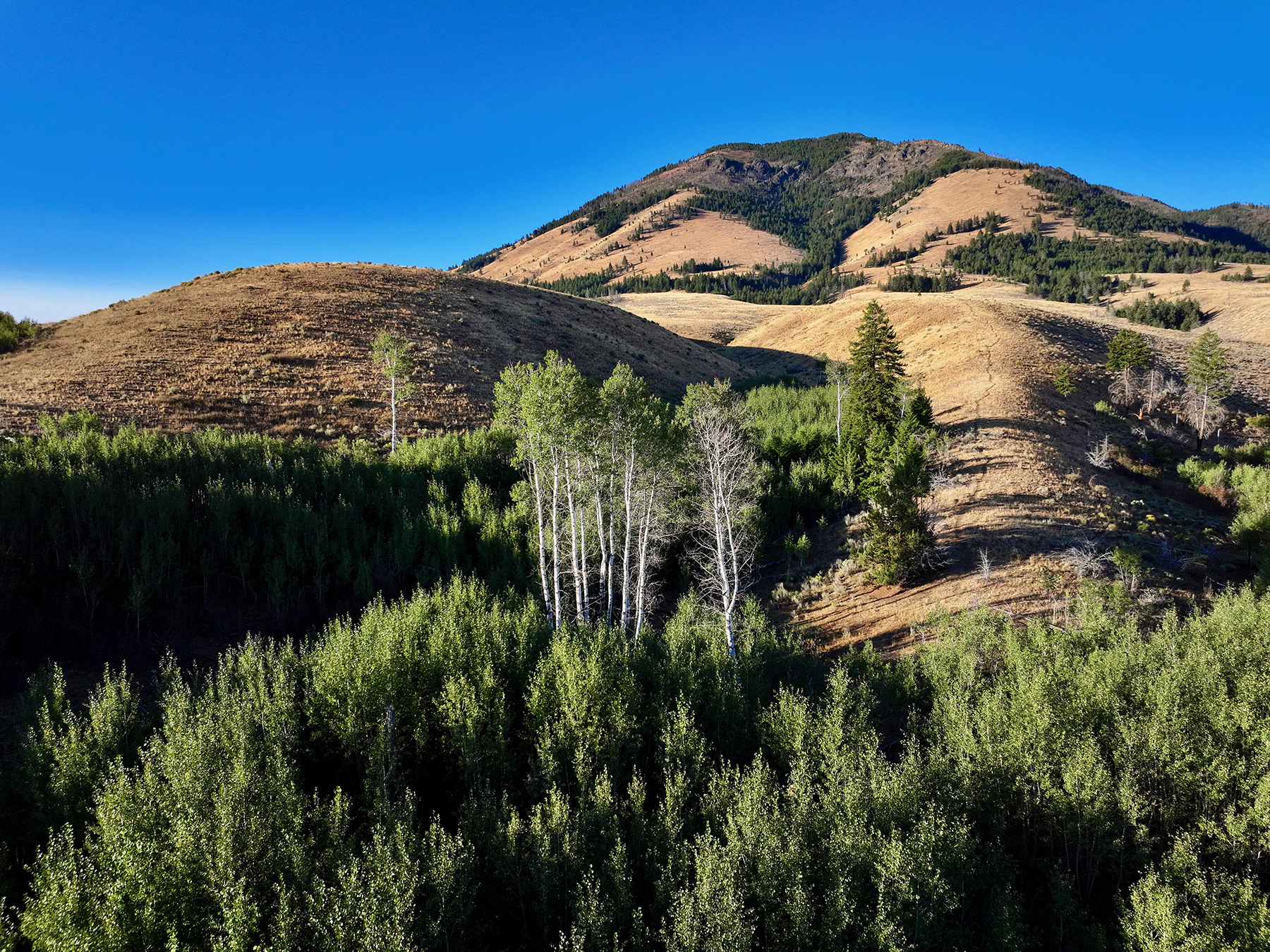 Ironside Mountain Ranch property picture 5 of 54