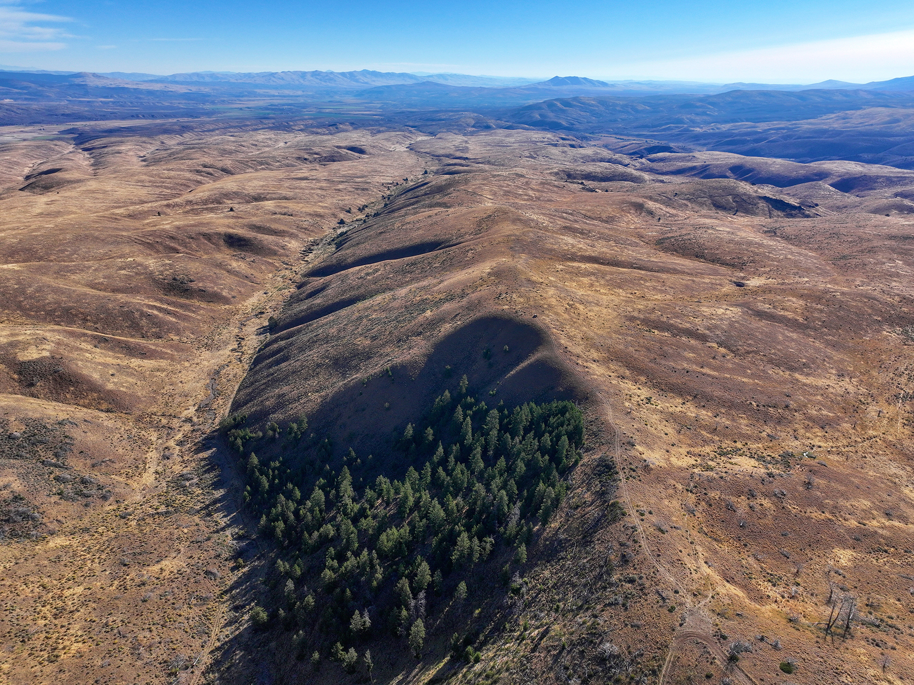Ironside Mountain Ranch property picture 21 of 54