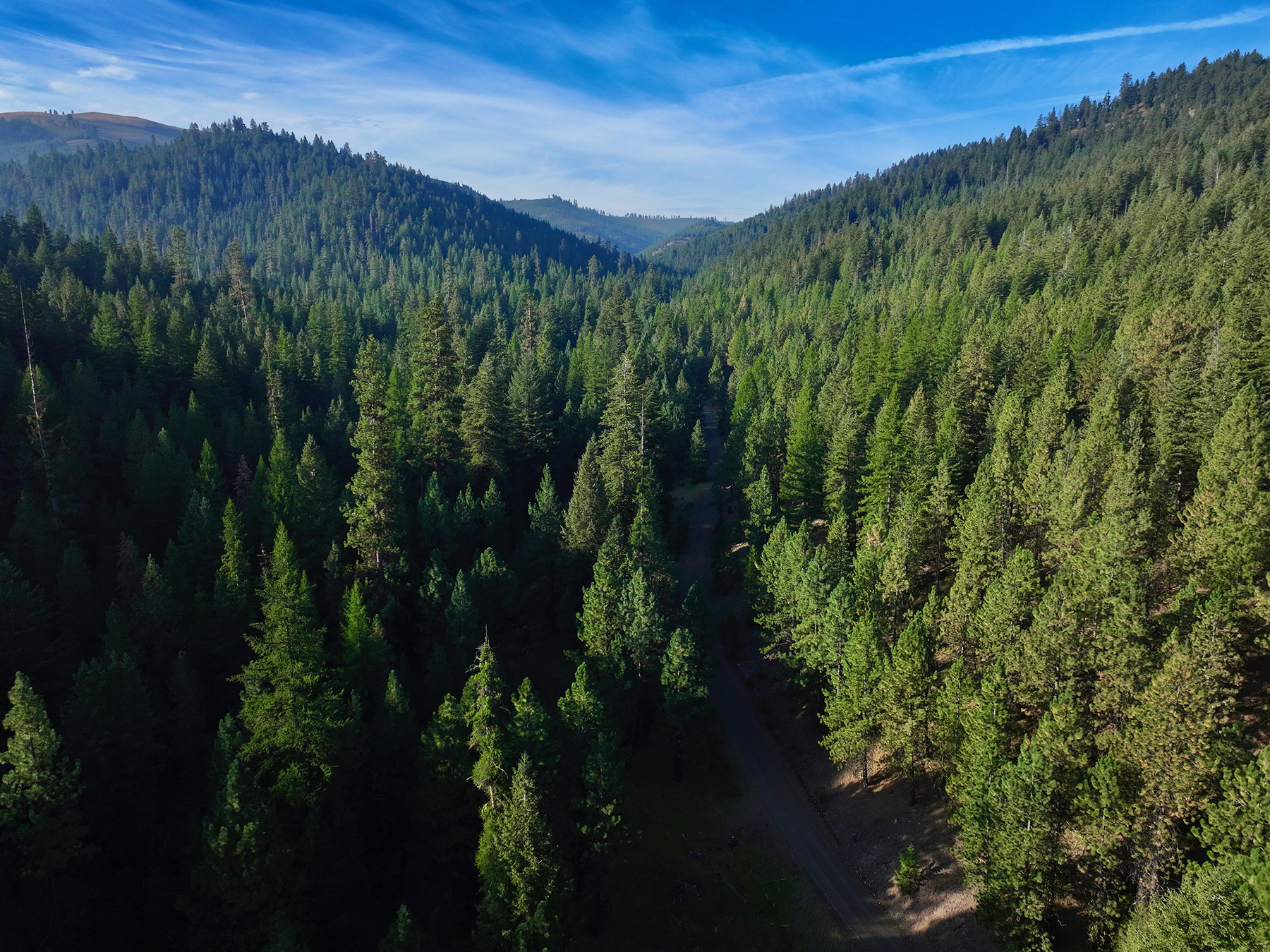 Ironside Mountain Ranch property picture 8 of 54