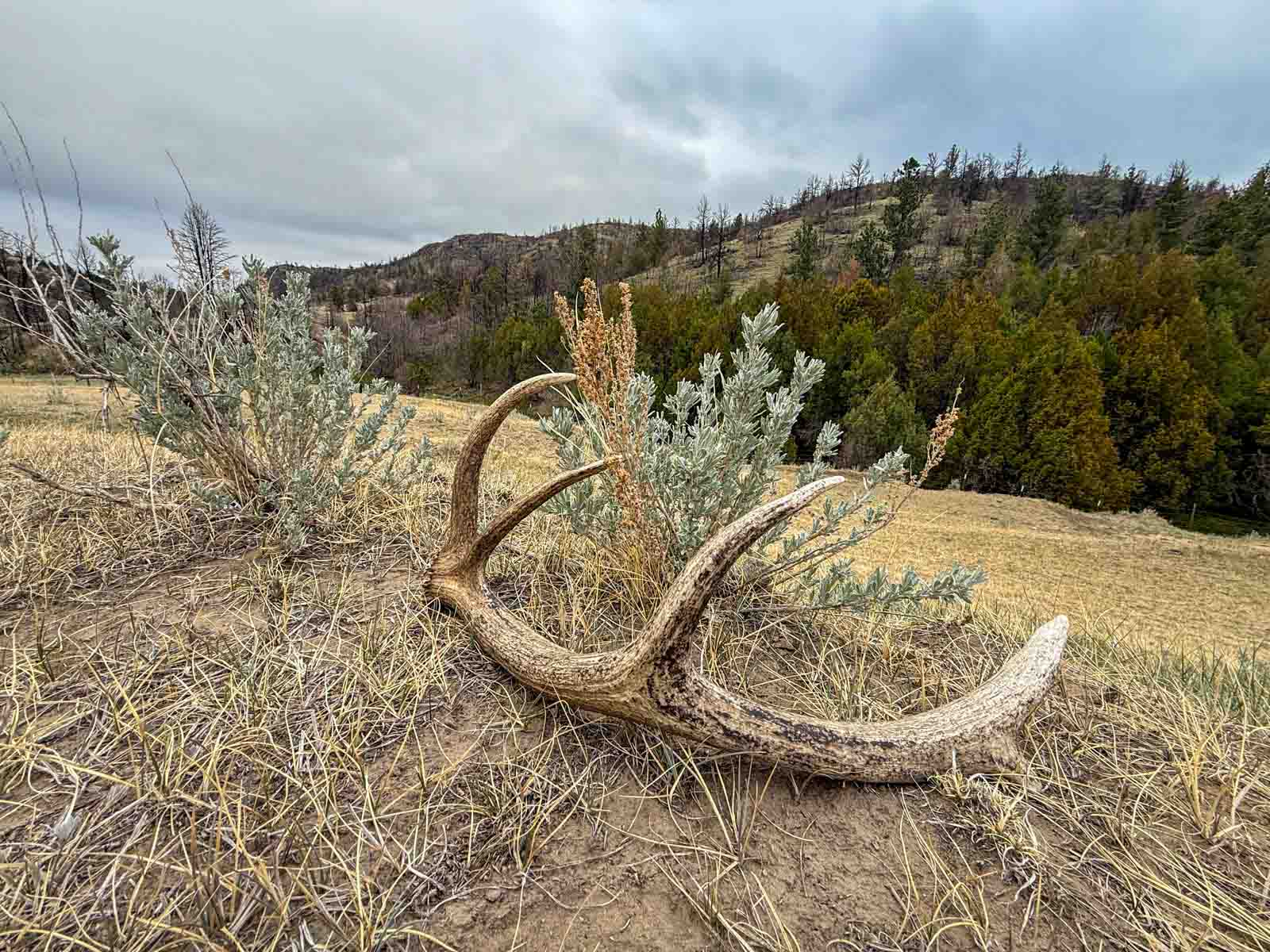 Shadow Rock property picture 10 of 45