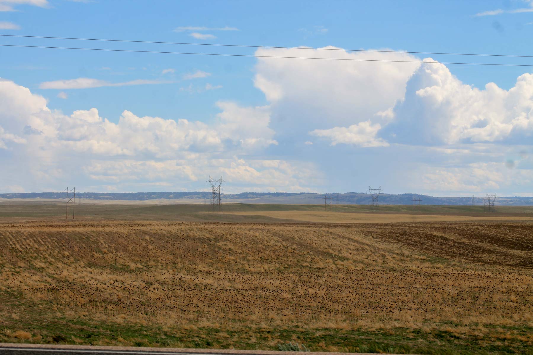 Sanders Dryland Farm property picture 11 of 19