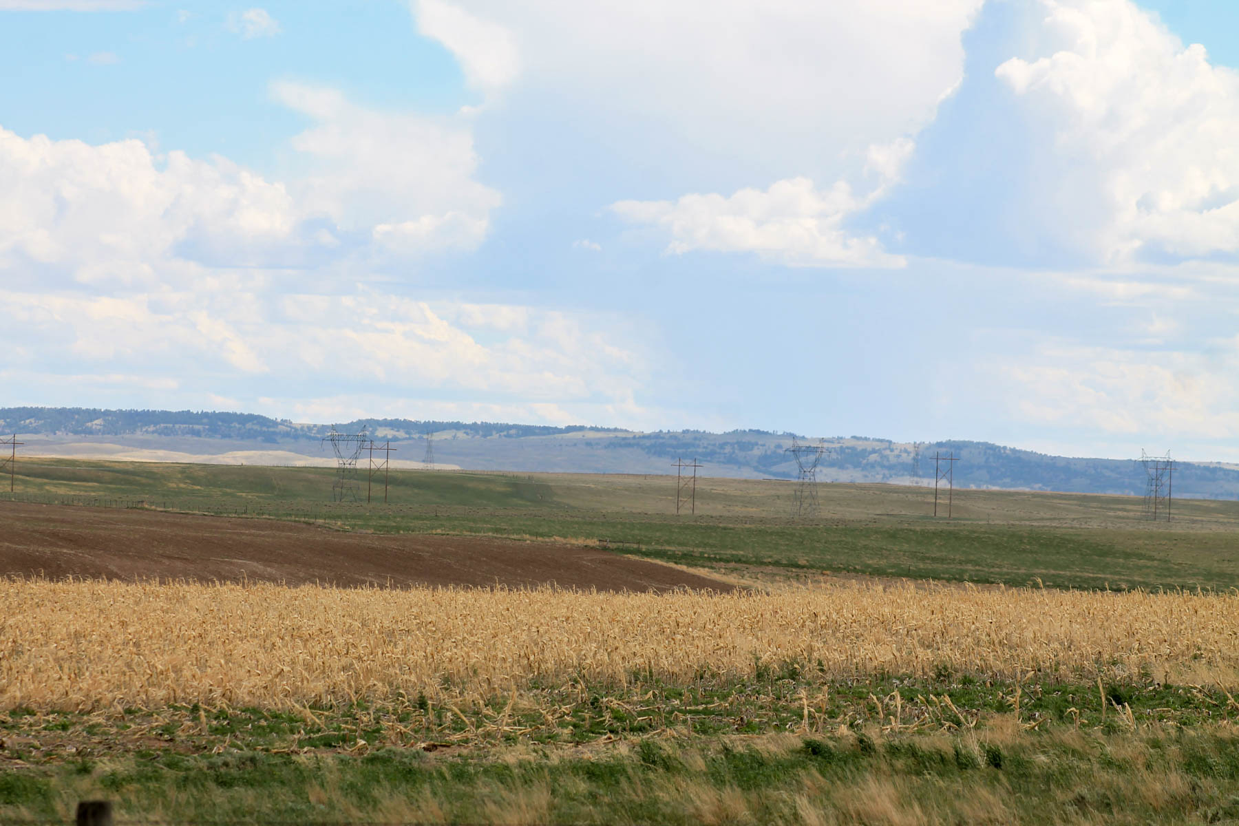 Sanders Dryland Farm property picture 8 of 19