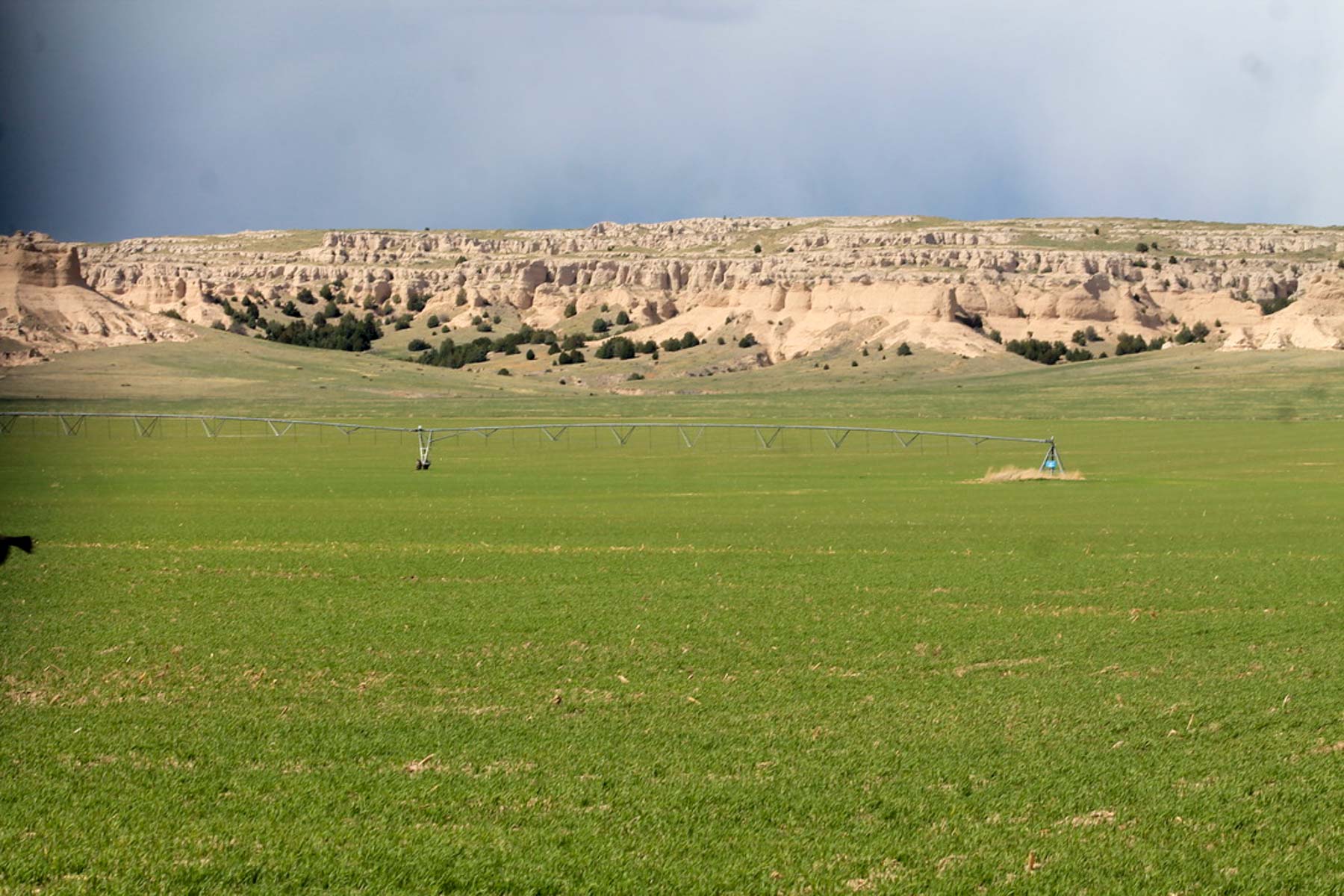 Sanders Dryland Farm property picture 12 of 19