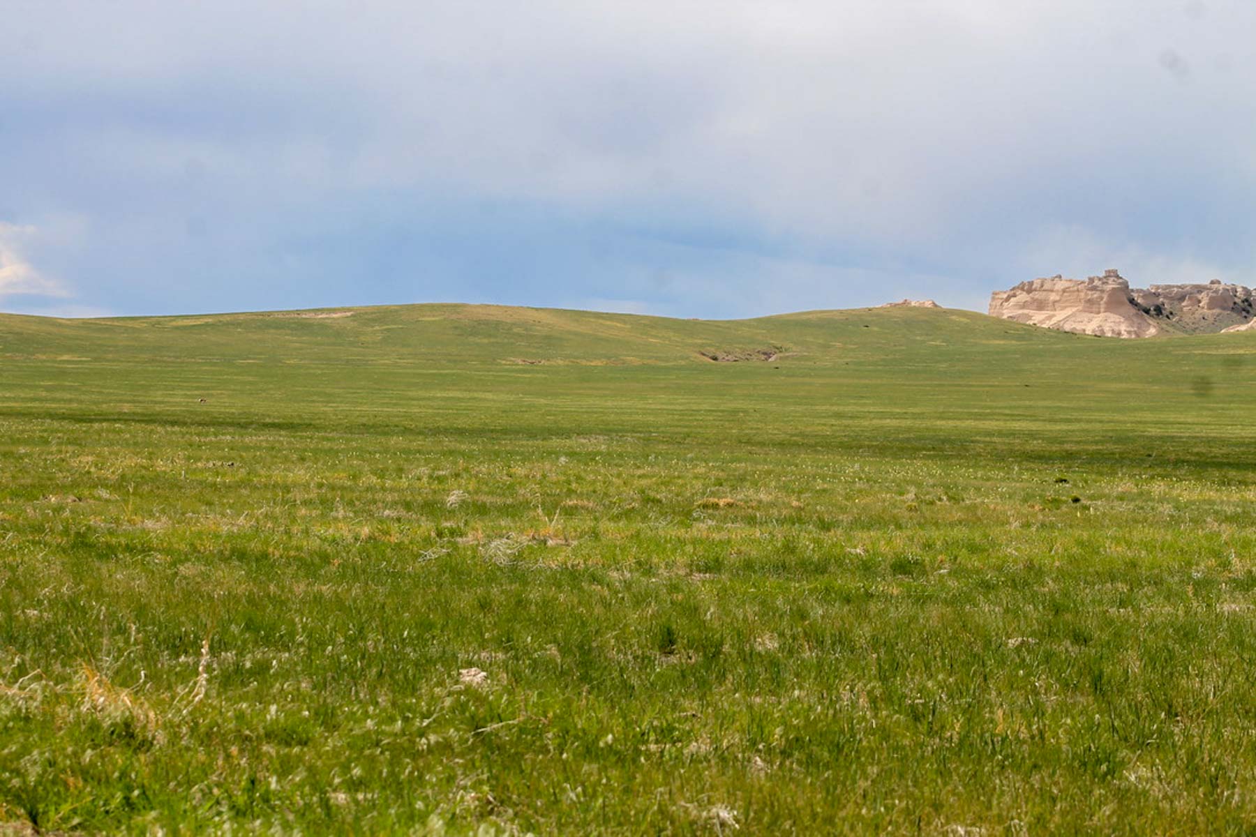 Sanders Dryland Farm property picture 10 of 19