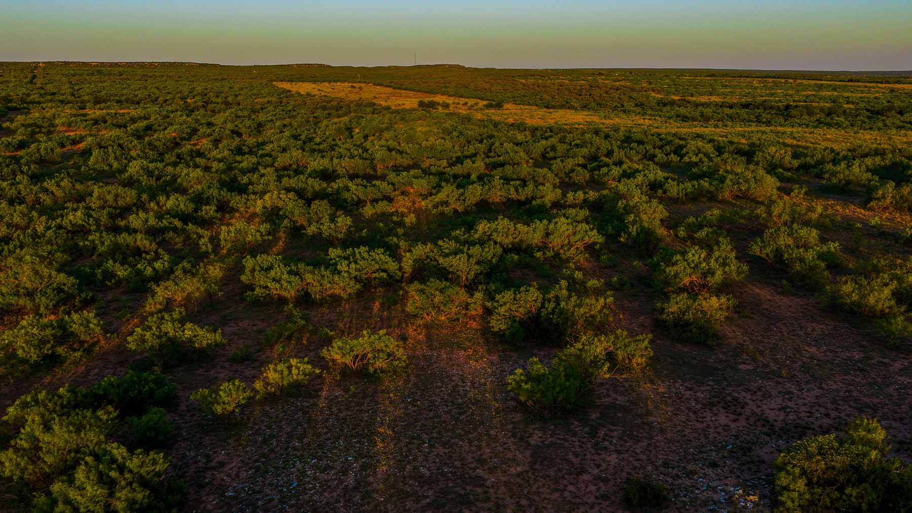 McBrannon Ranch property picture 39 of 67