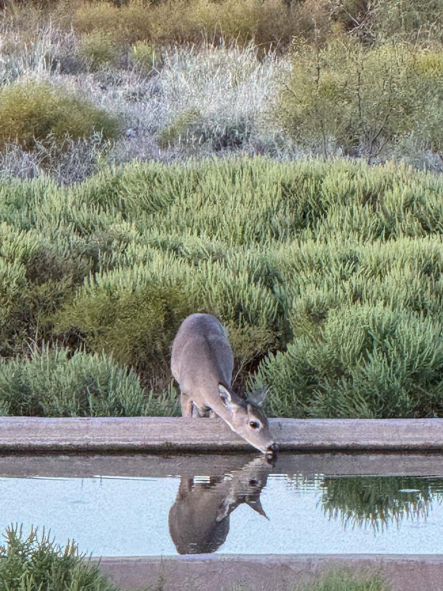 McBrannon Ranch property picture 27 of 67